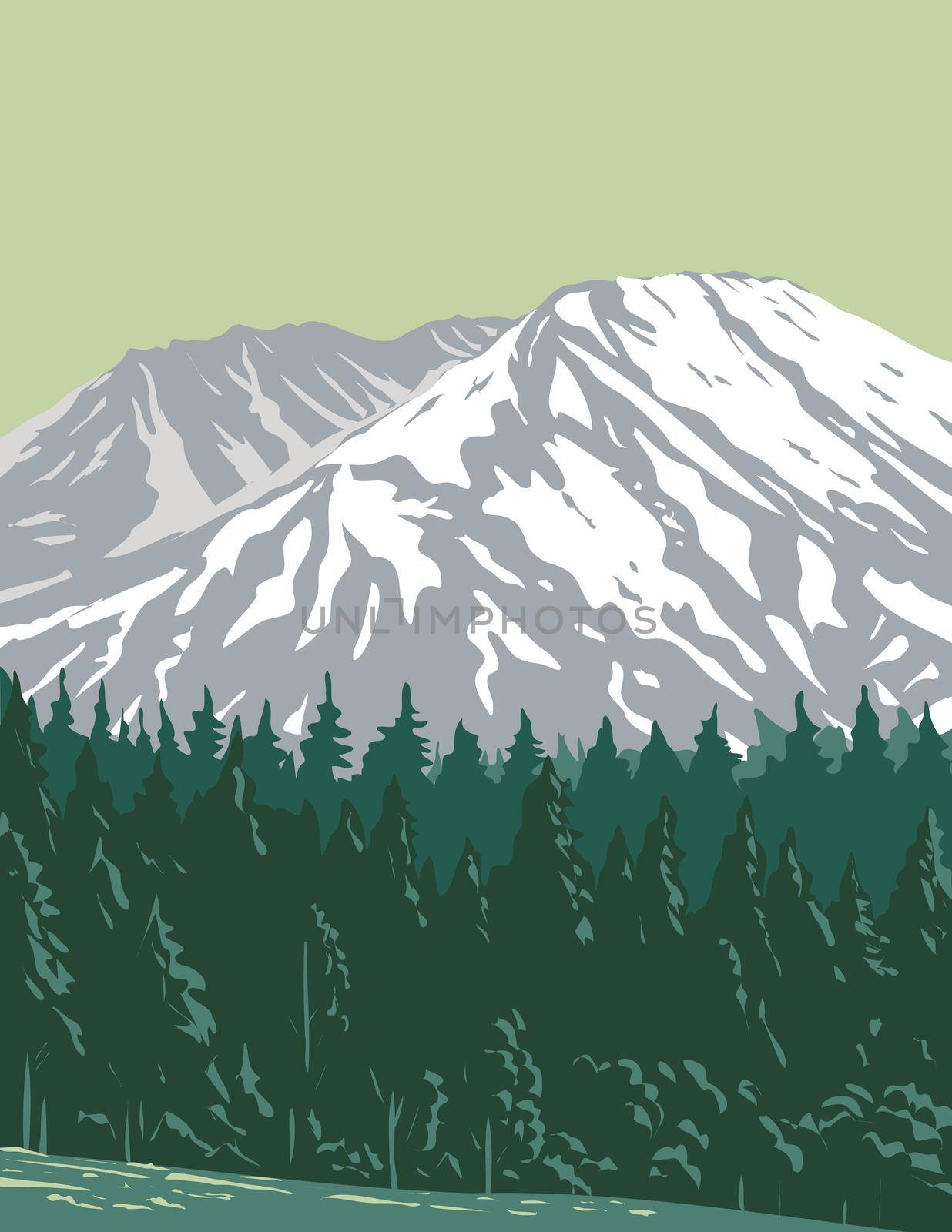 Mt. Saint Helens in Mount St. Helens National Volcanic Monument Located in Gifford Pinchot National Forest Washington State  United States WPA Poster Art by patrimonio