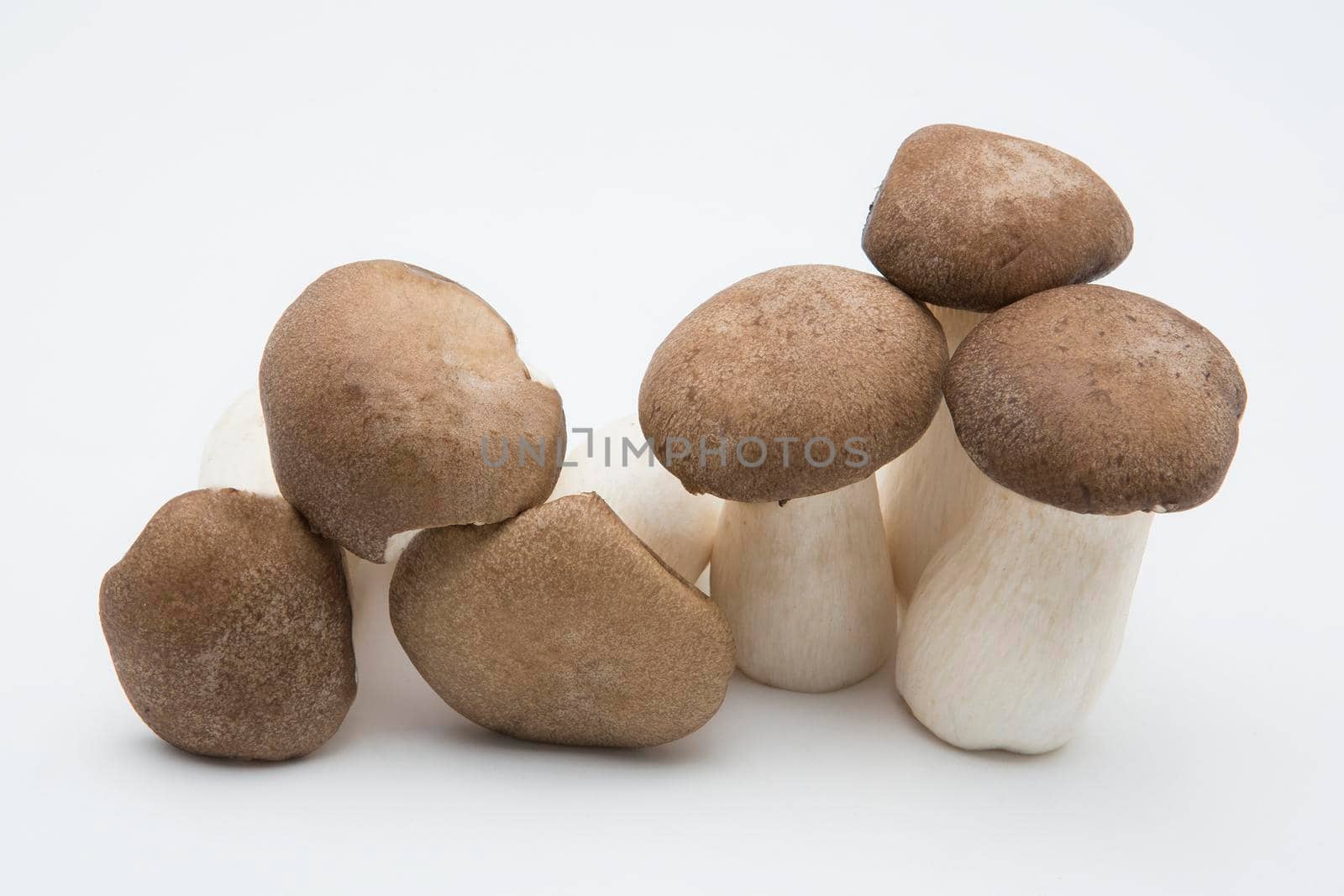 King Oyster mushrooms isolated on white background by titipong