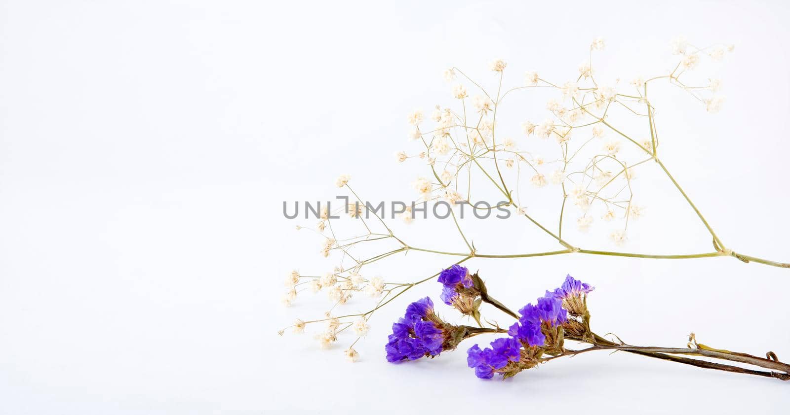 Spa candle on a white background