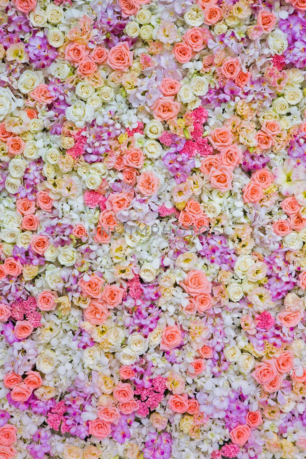 Floral background by titipong