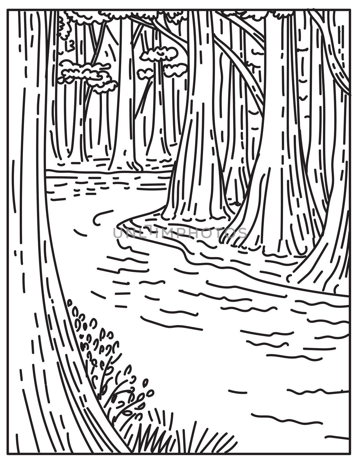 An Old Growth Bottomland Hardwood Forest in Congaree National Park in Central South Carolina United States Mono Line or Monoline Black and White Line Art by patrimonio