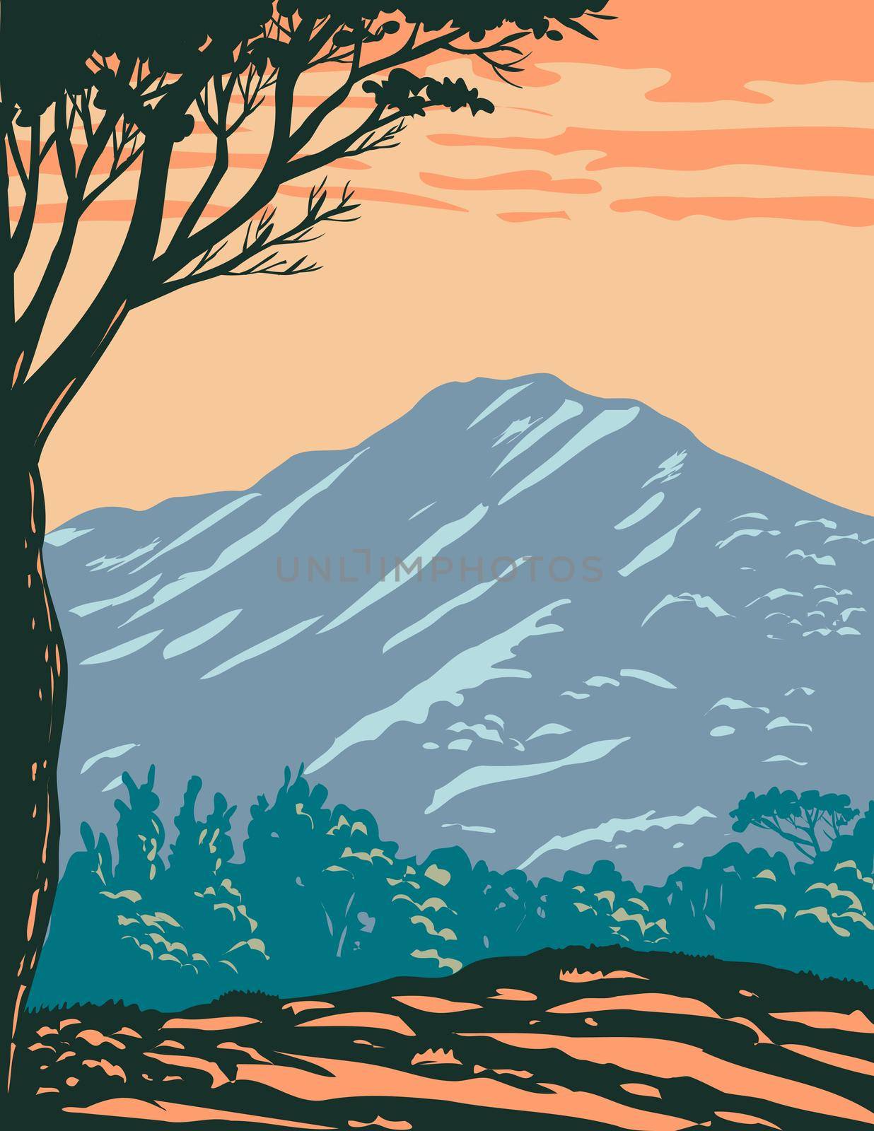The Peak of Mount Tamalpais or Mount Tam Located Within Mt. Tamalpais State Park in Marin County California United States of America WPA Poster Art by patrimonio