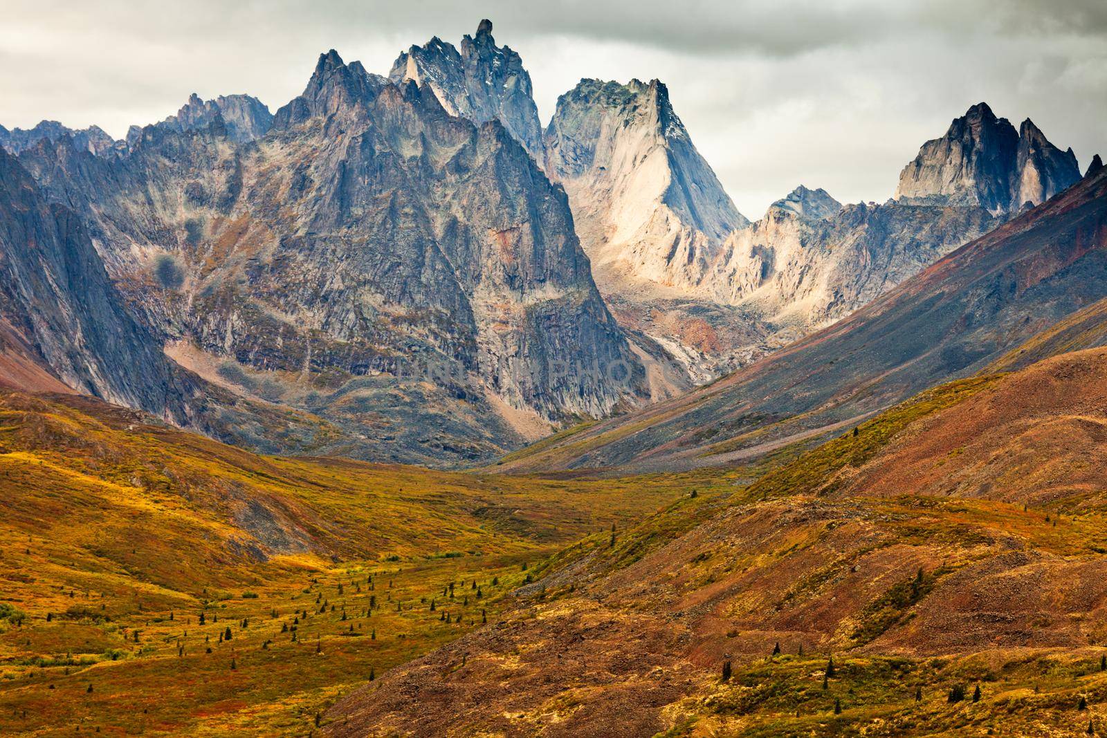 Autumn fall colors start to arrive in Tombstone Territorial Park near Dempster Highway north of Dawson City, Yukon Territory, Canada