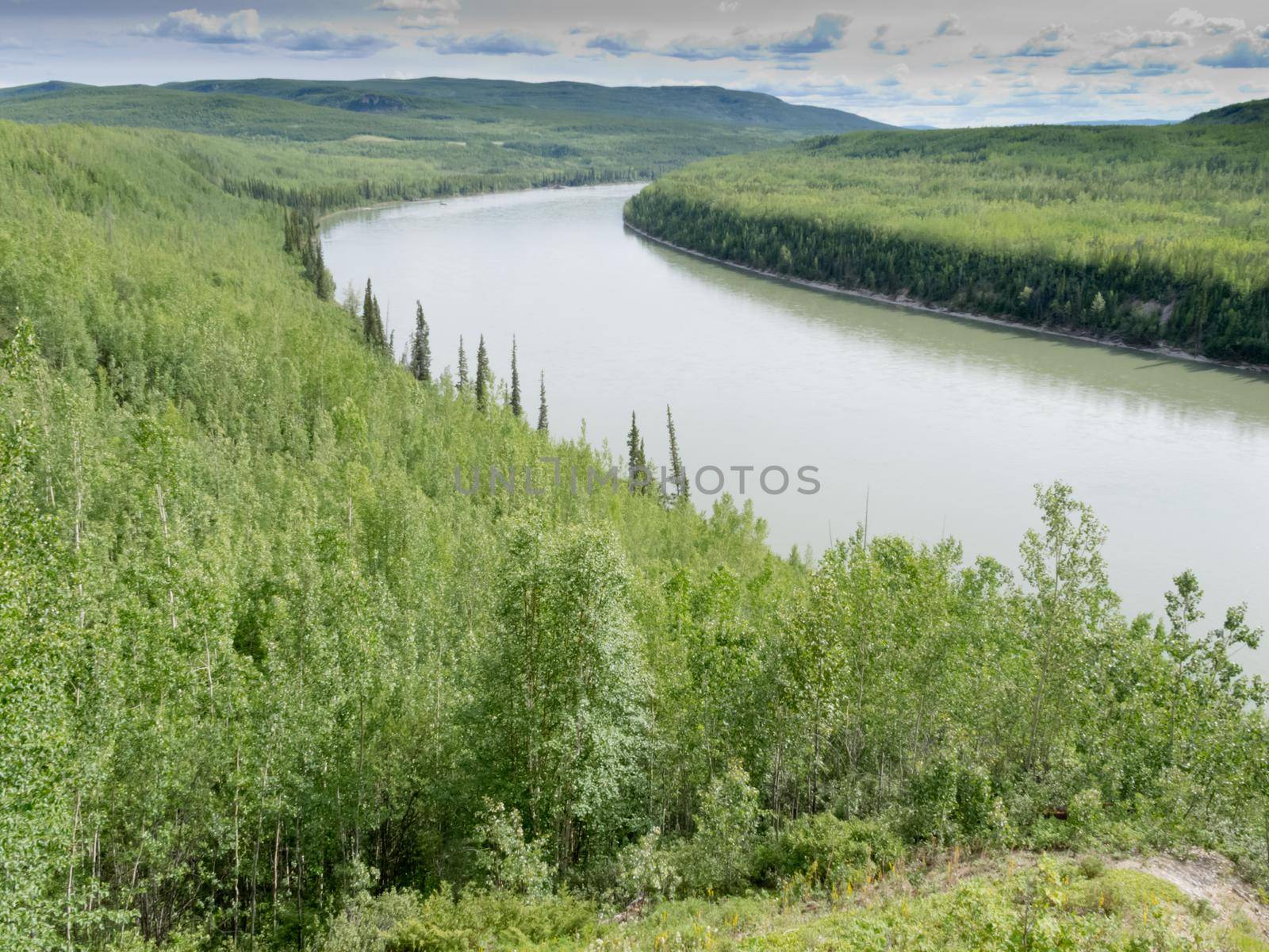 Liard River valley boreal forest taiga natural wilderness landscape of Northern British Columbia, Canada