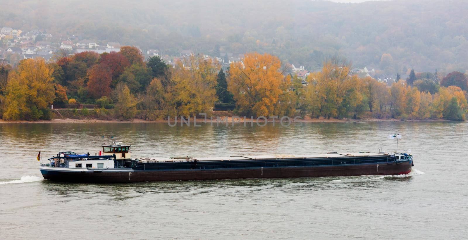 Bulk-carrier barge on waterway river Rhine with autumn fall colored landscape on shore, North Rhine-Westphalia, Germany, Europe