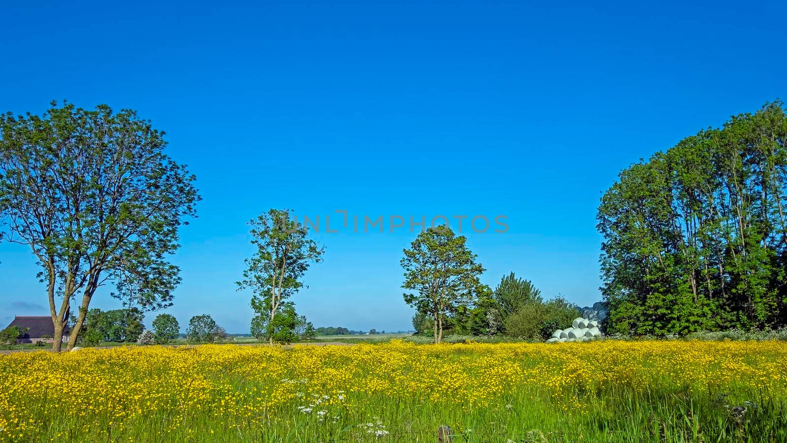 Springtime in the countryside from the Netherlands by devy
