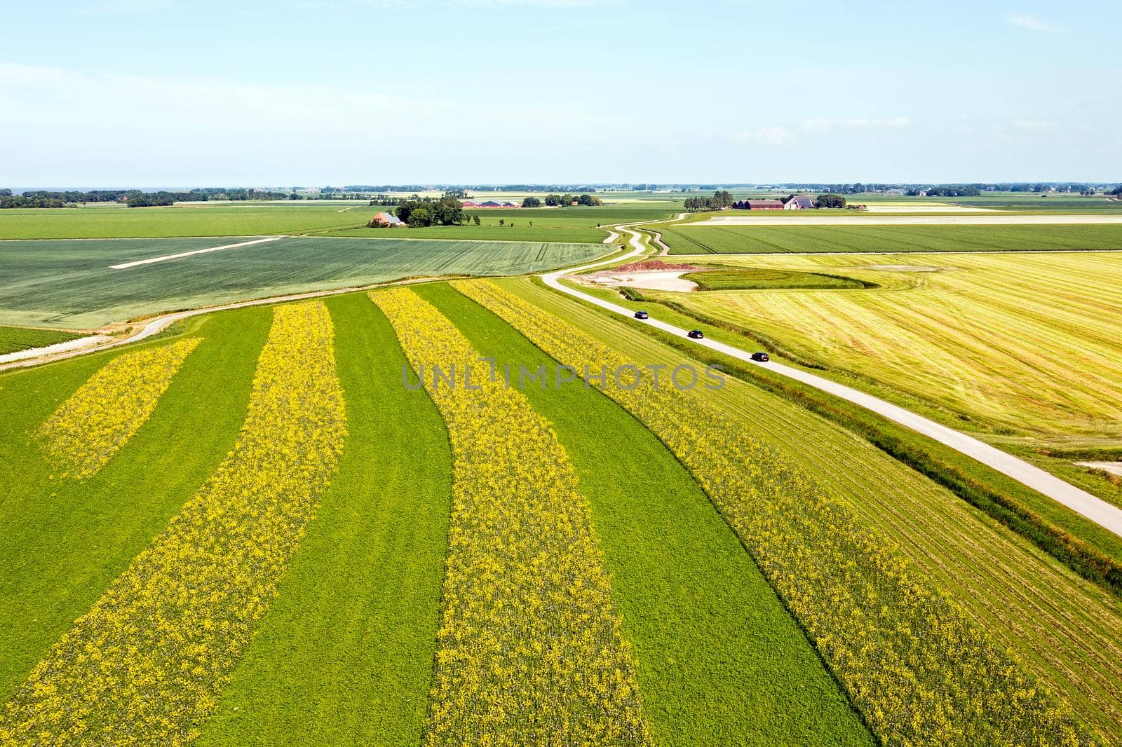 Aerial from rapeseed fields in Friesland the Netherlands by devy