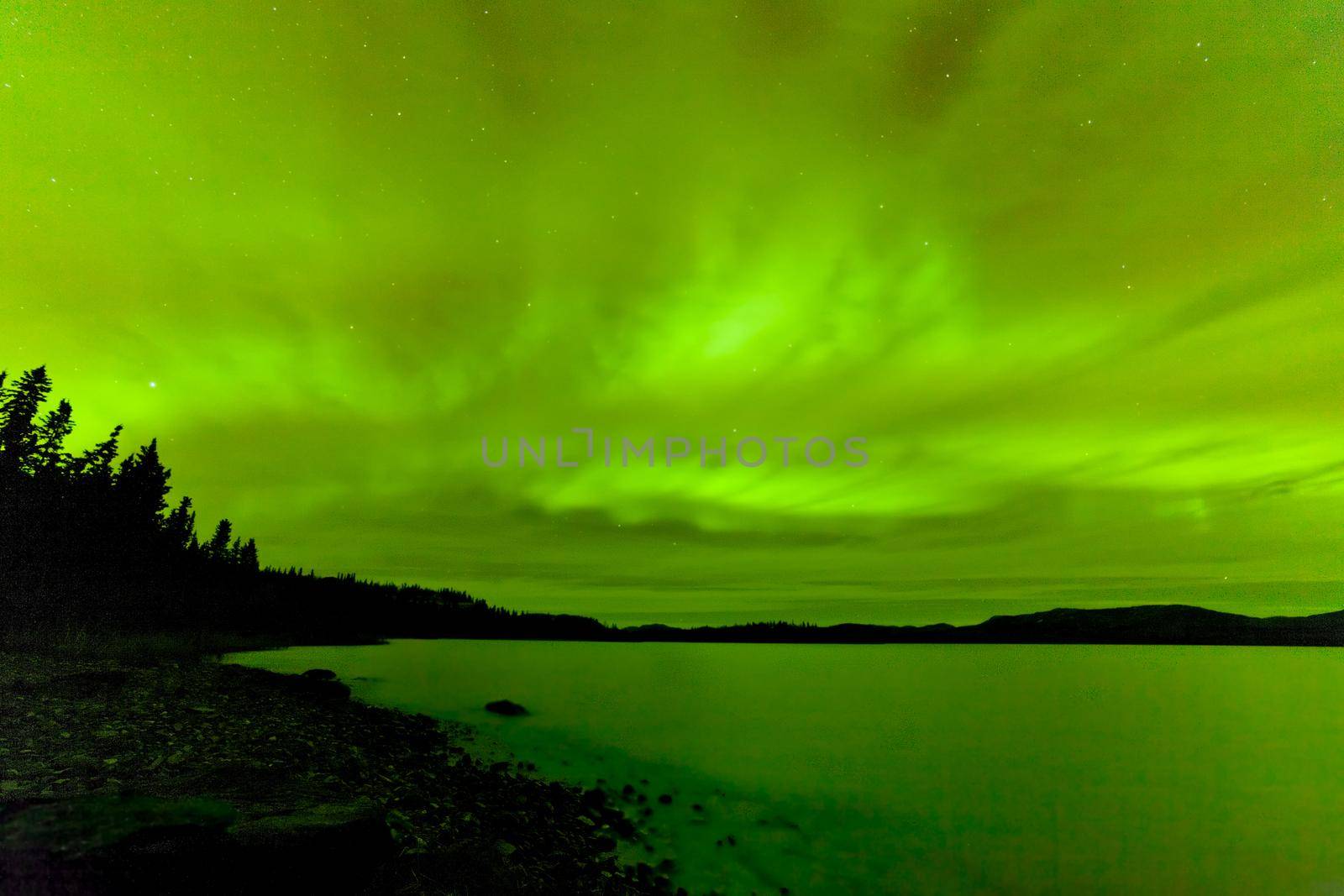 Green sparkling show of Aurora borealis or Northern Lights on night sky over winter scene landscape of Lake Laberge, Yukon Territory, Canada