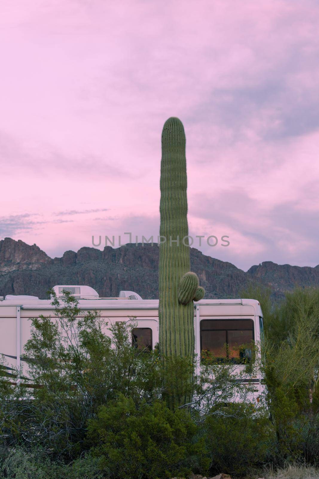 Motorhome RV parked on campsite in Sonoran Desert beside Saguaro Cactus