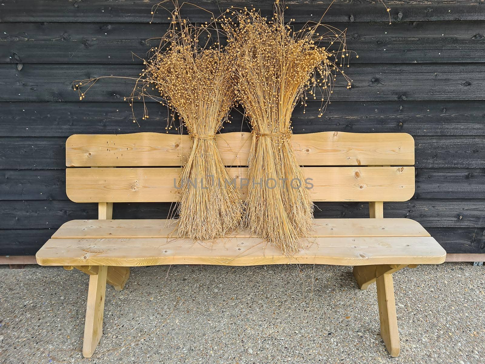 Sheaves of wheat on a wooden bench by devy