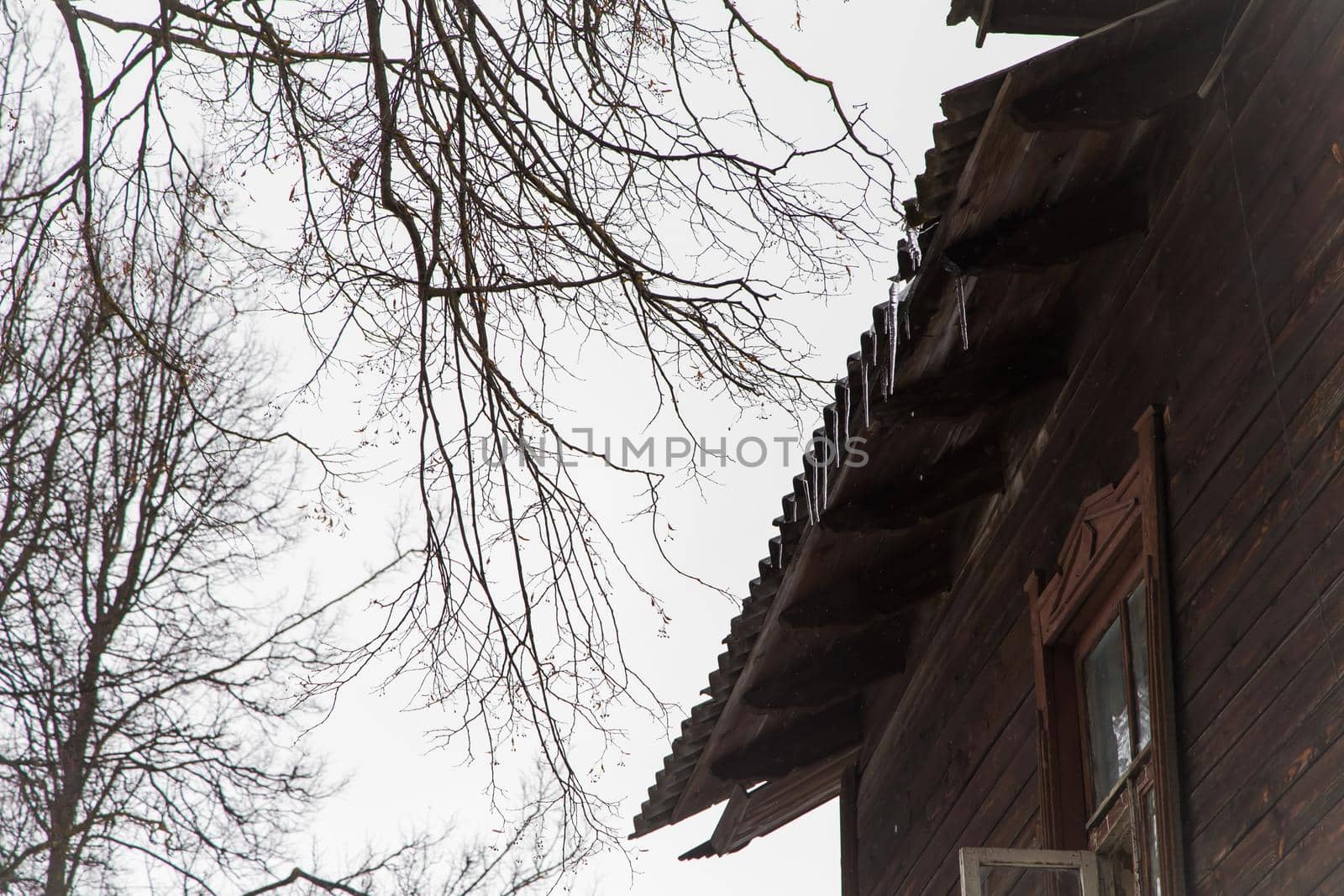 Icicles hang from the roof of a wooden house on a frosty, cloudy day. Against the background of a gray sky, branches of a tall tree. Abnormal weather concept. New Year's and Christmas is over.