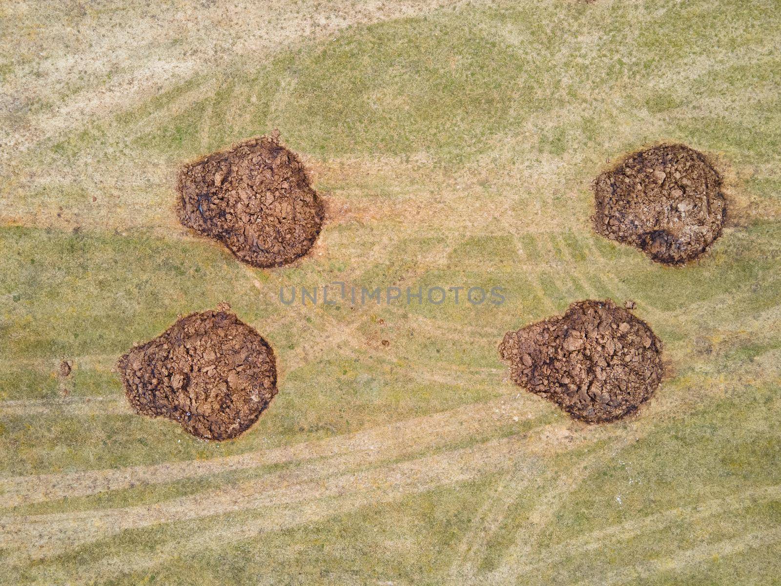 Round, large heaps of manure are beautifully laid in the field, aerial photo. Application of organic fertilizers in spring and autumn. The concept of working in agriculture for doing business and making a profit.