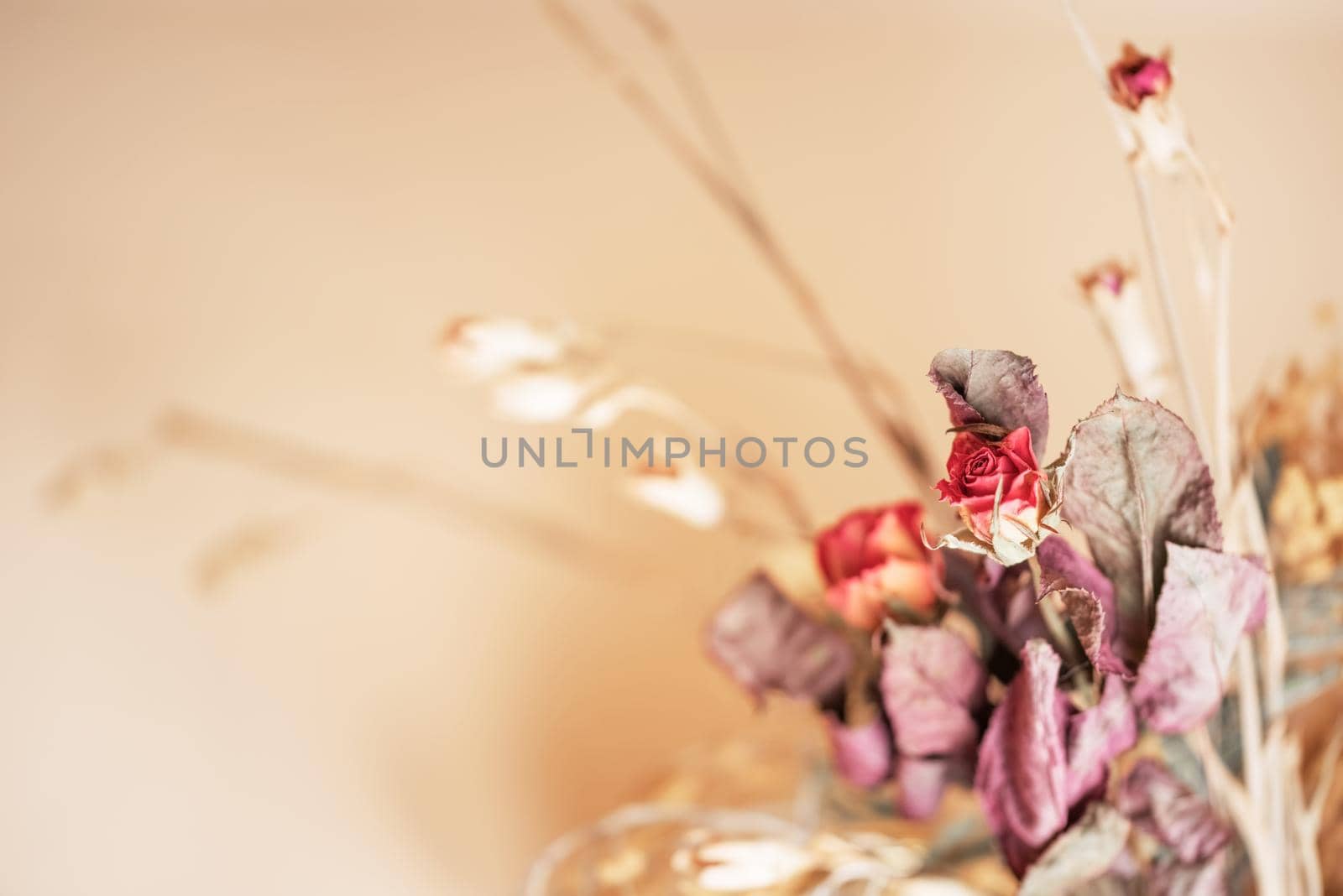 The bouquet of the dried tiny roses on a beige background