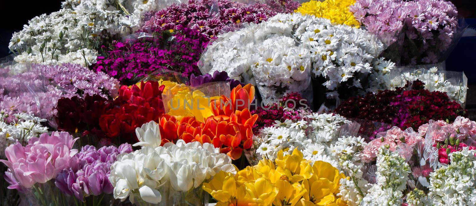 Fresh colorful Flowers put in vases by berkay