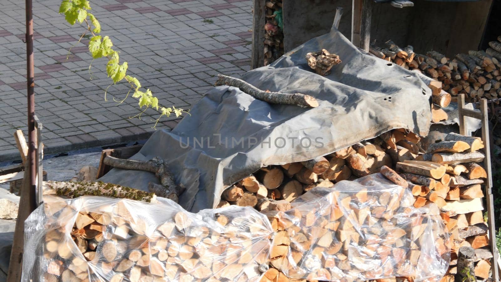 Pile Of Chopped Fire Wood Prepared For Winter