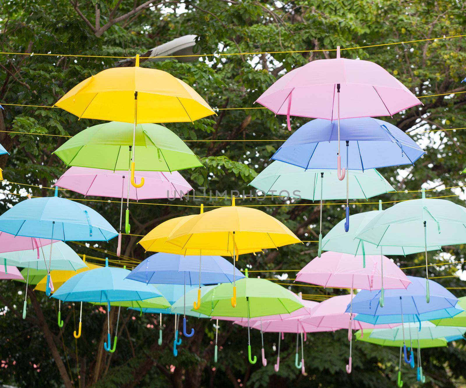 Colorful umbrella