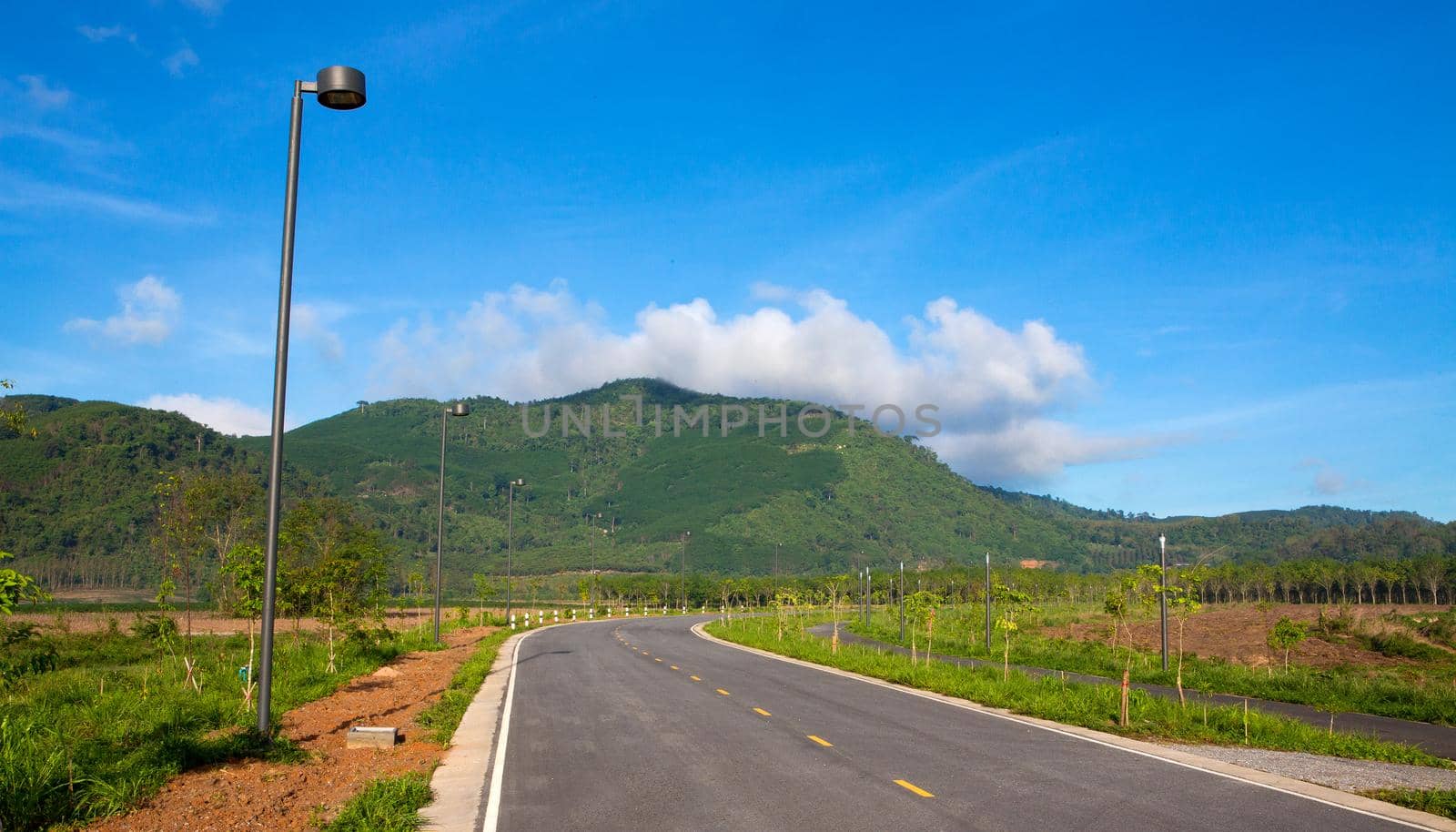 Black Roads in the Countryside