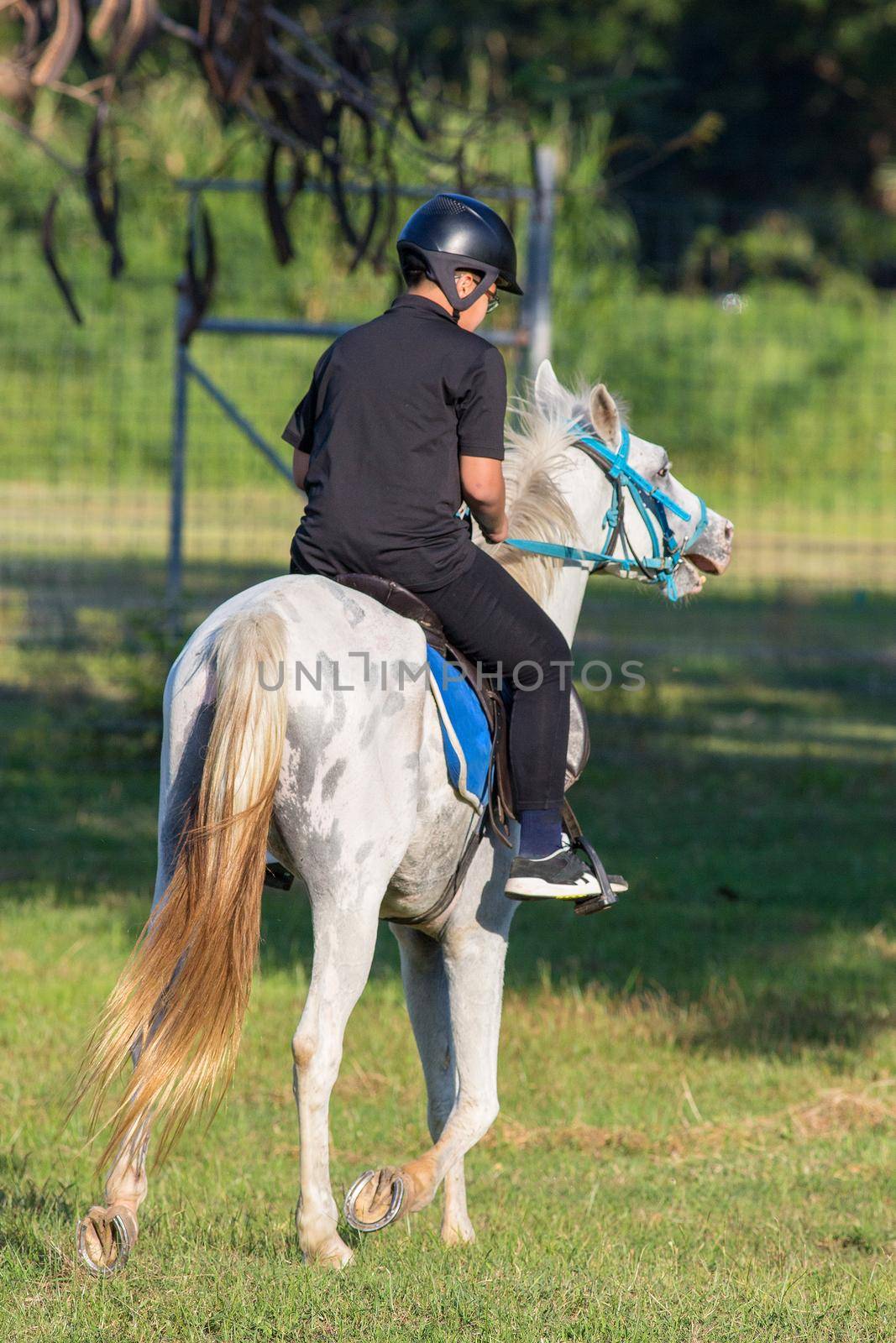 Horse riding in the lawn.