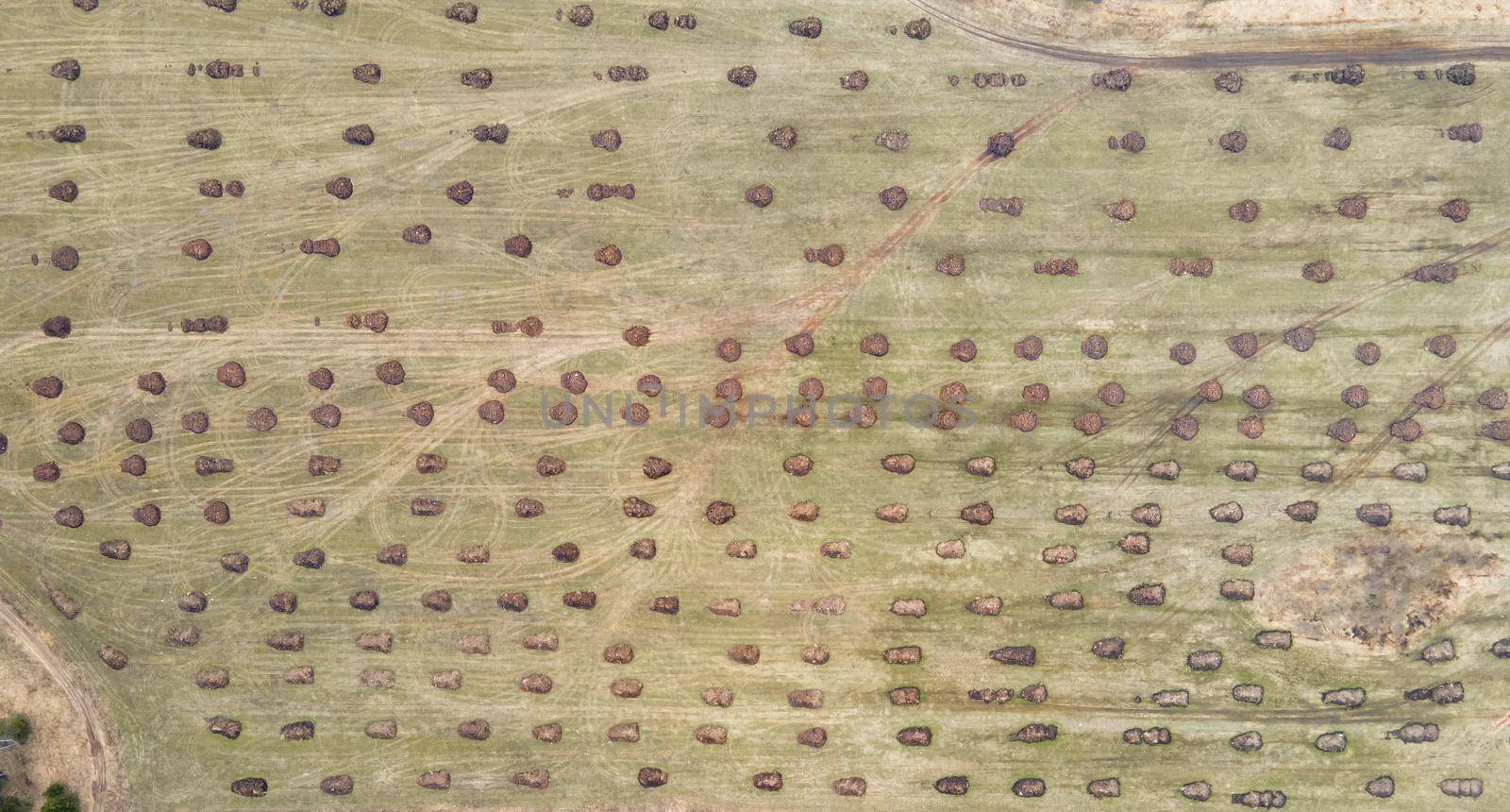 Round heaps of manure on a large farm field in the countryside. Application of organic fertilizers in spring and autumn. The concept of working in agriculture for doing business and making a profit.