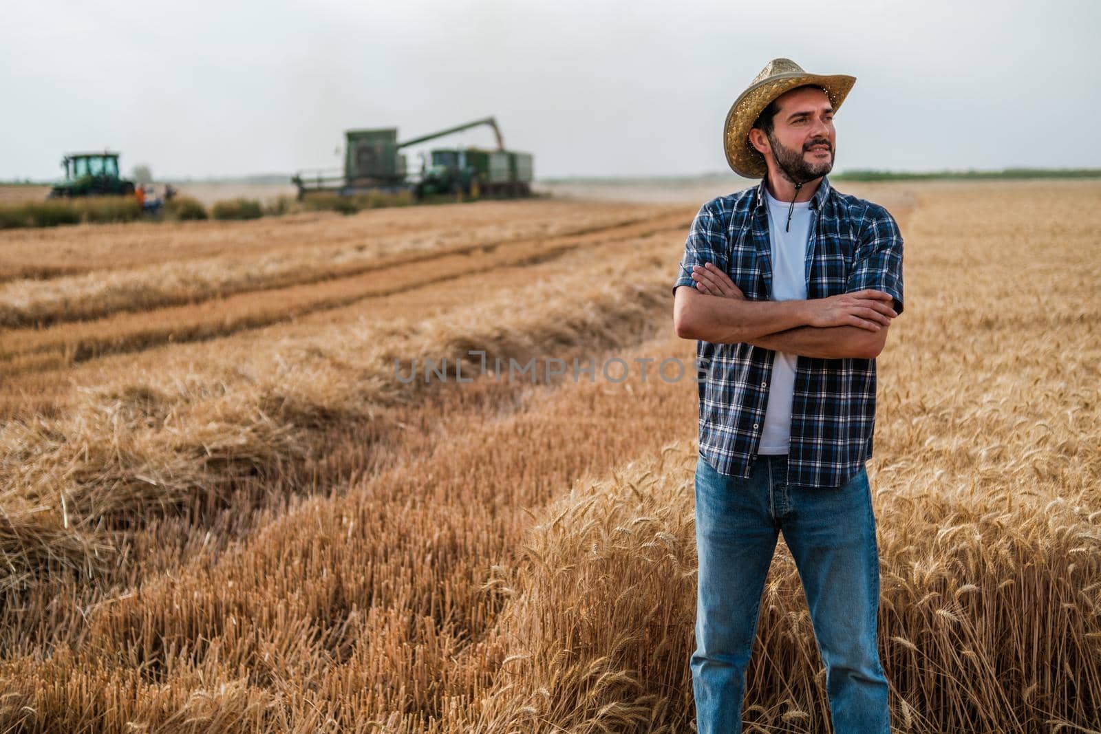 Farmer is standing in front of his wheat field while harvesting is taking place.