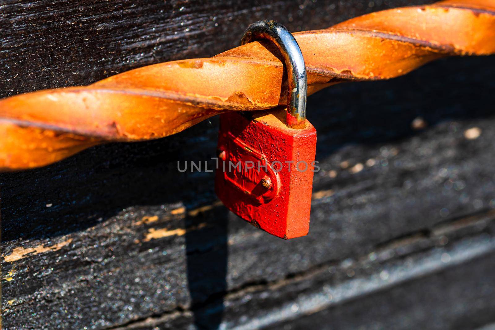 Love symbol, old rusty padlocks hanging on wooden fortress bridge in Alba Iulia, Romania, 2021 by vladispas