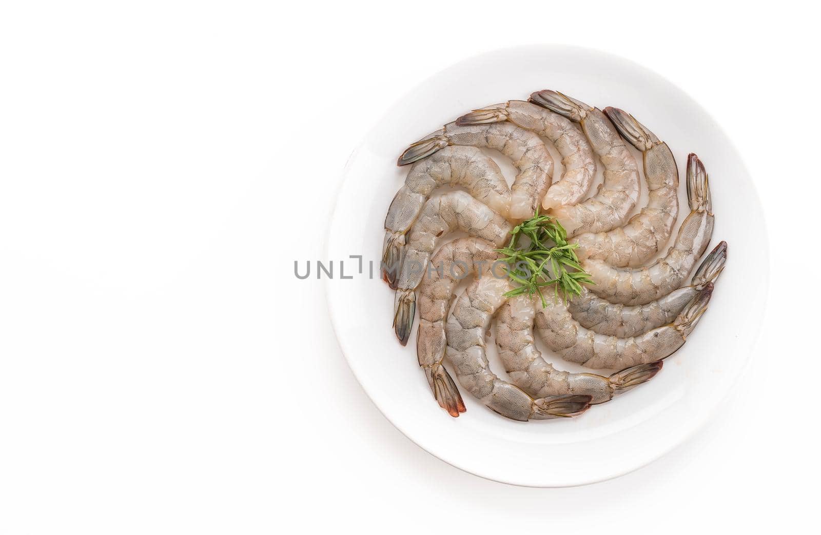 fresh shrimp/prawn on white background