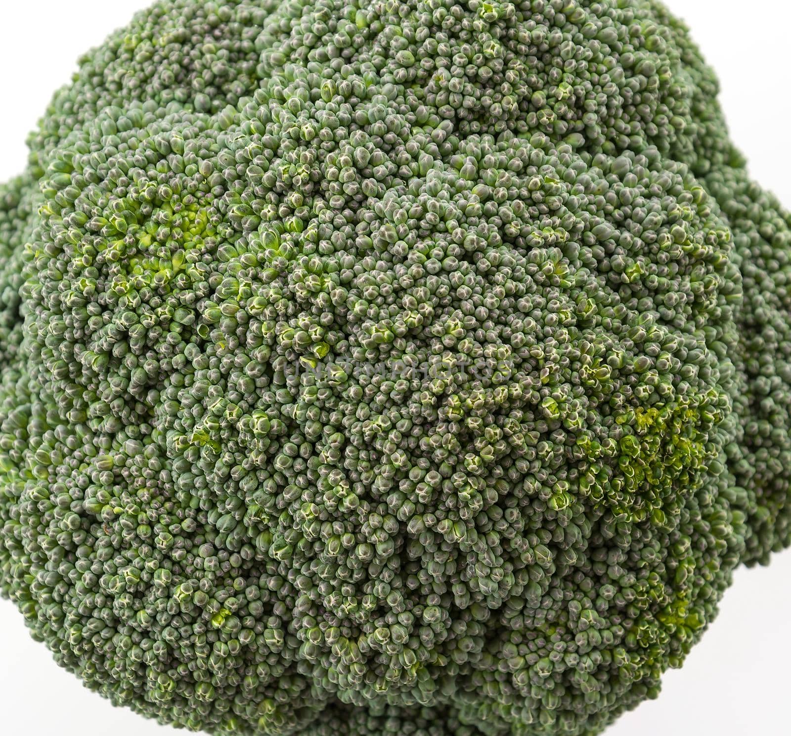 Fresh broccoli  on white background