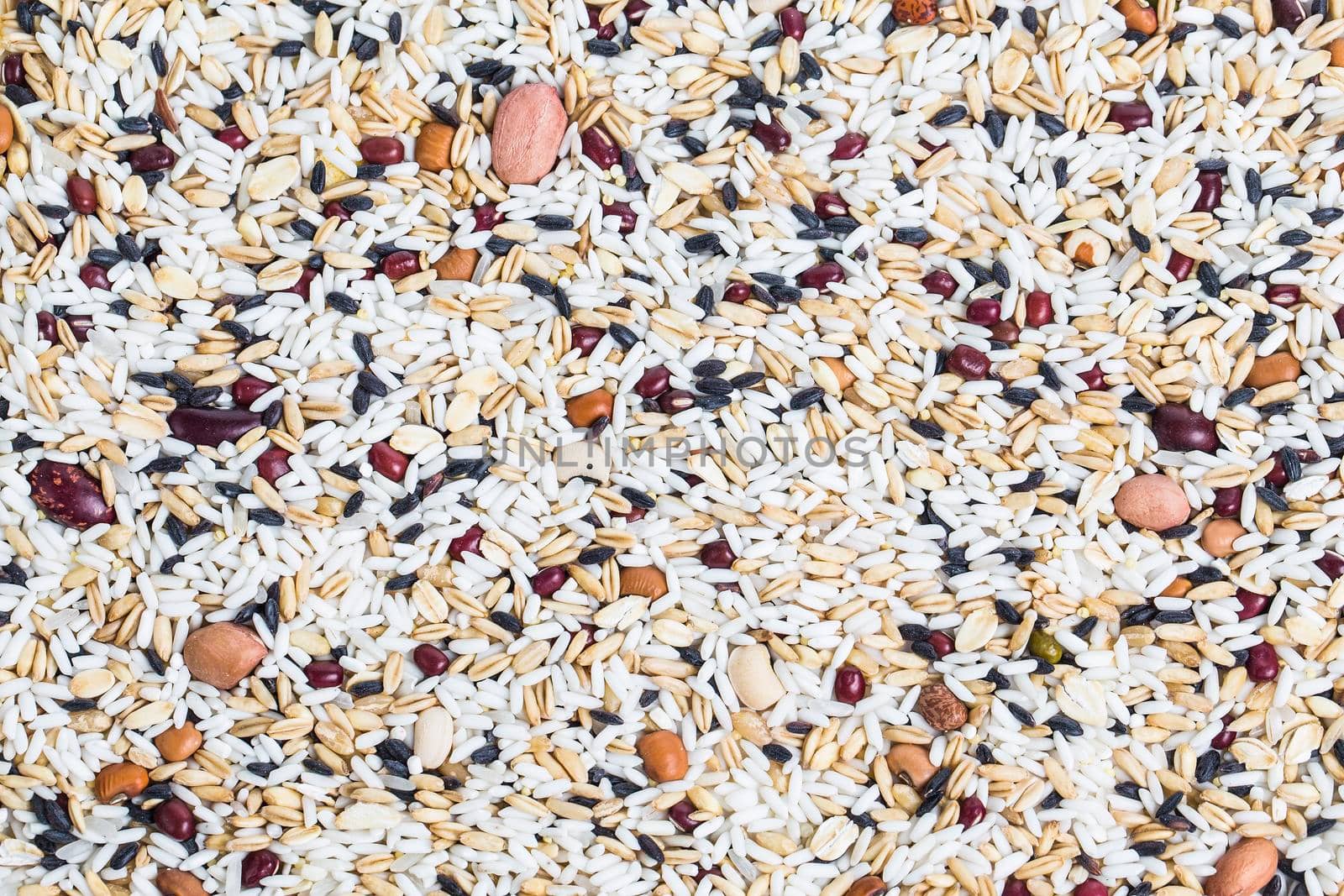 Border frame of Corn kernel seed meal and grains in bags isolated on a white background