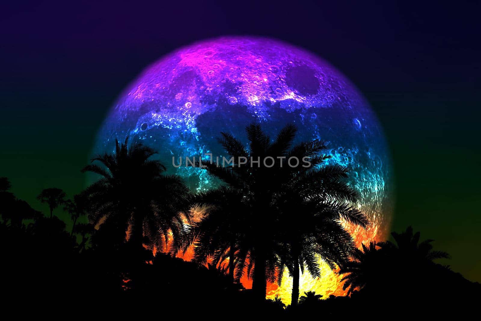 super flower colorful moon back silhouette palm tree on the night sky by Darkfox