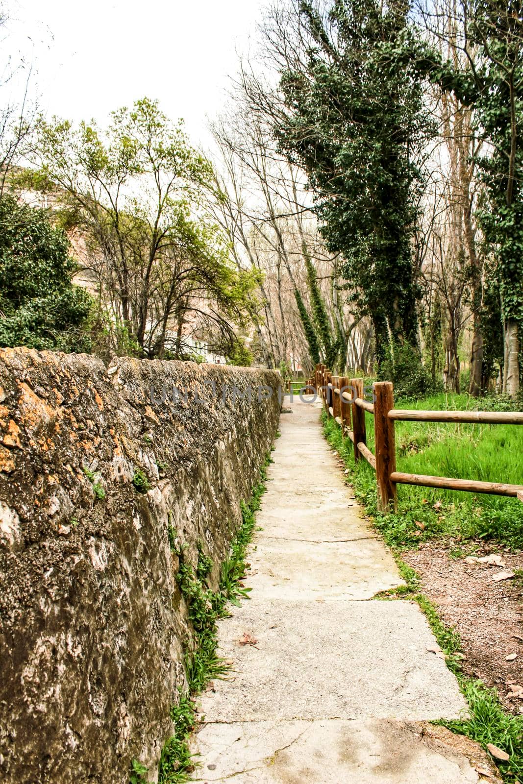 Mountain landscape and path between with green vegetation in spring in Castilla la Mancha, Spain