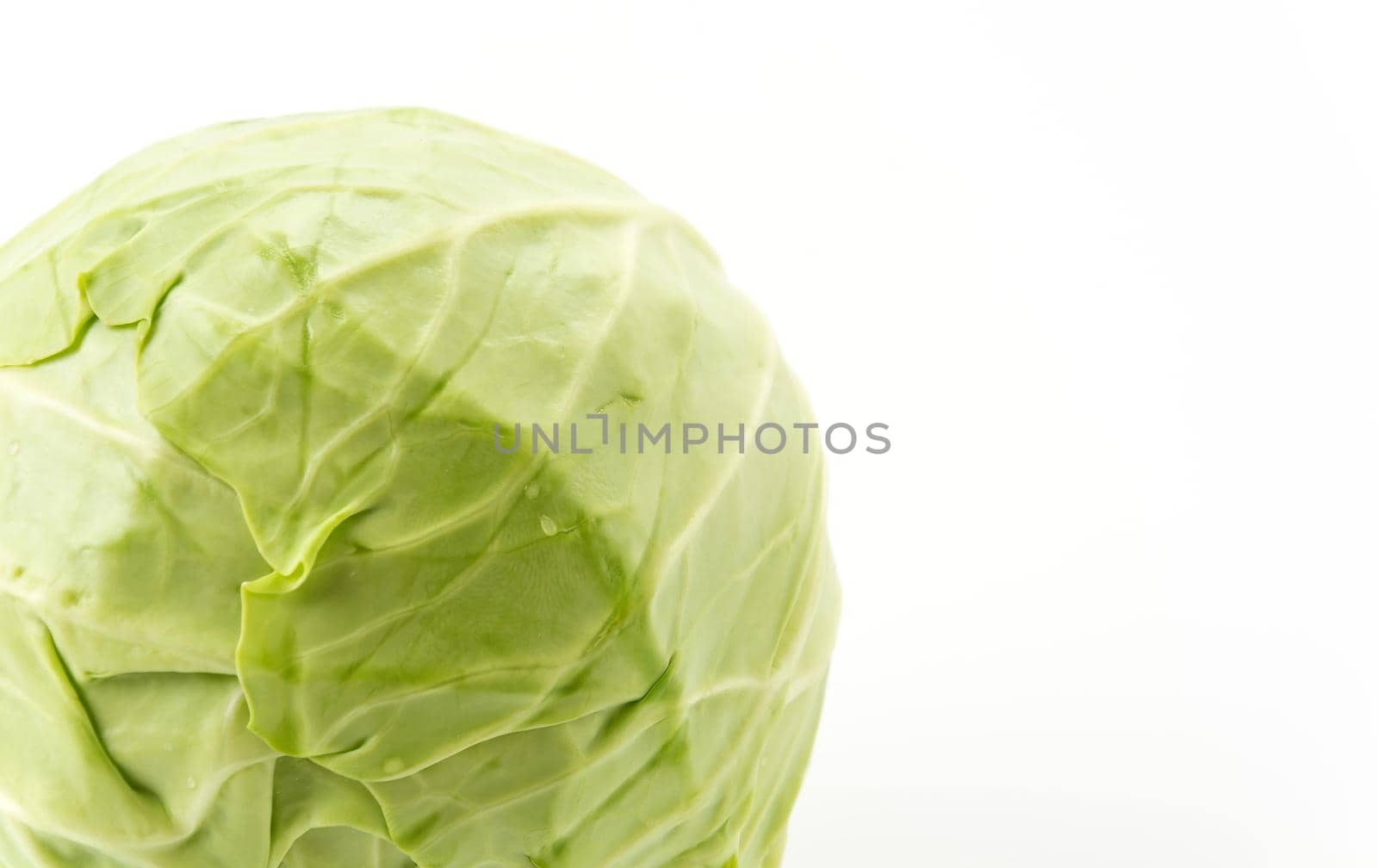 Fresh cabbage on white background