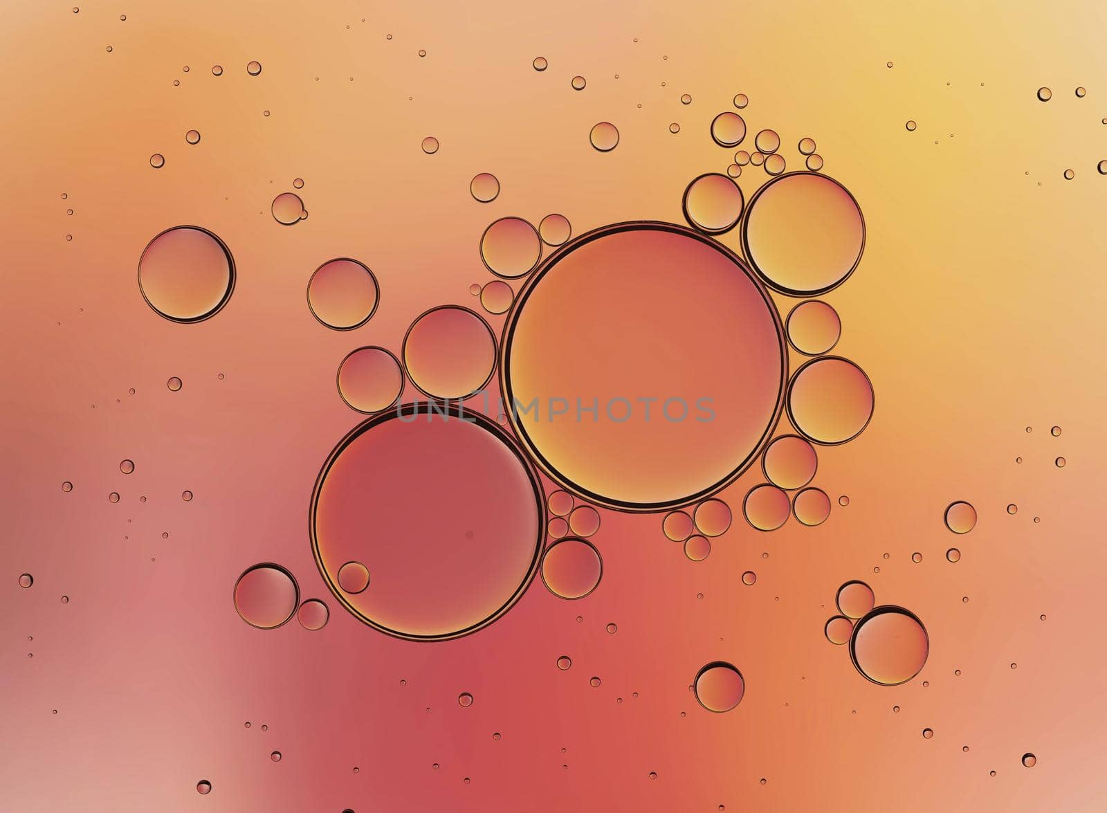 Oil Bubbles Isolated on White Background, Closeup Collagen Emulsion in Water. Illustration.