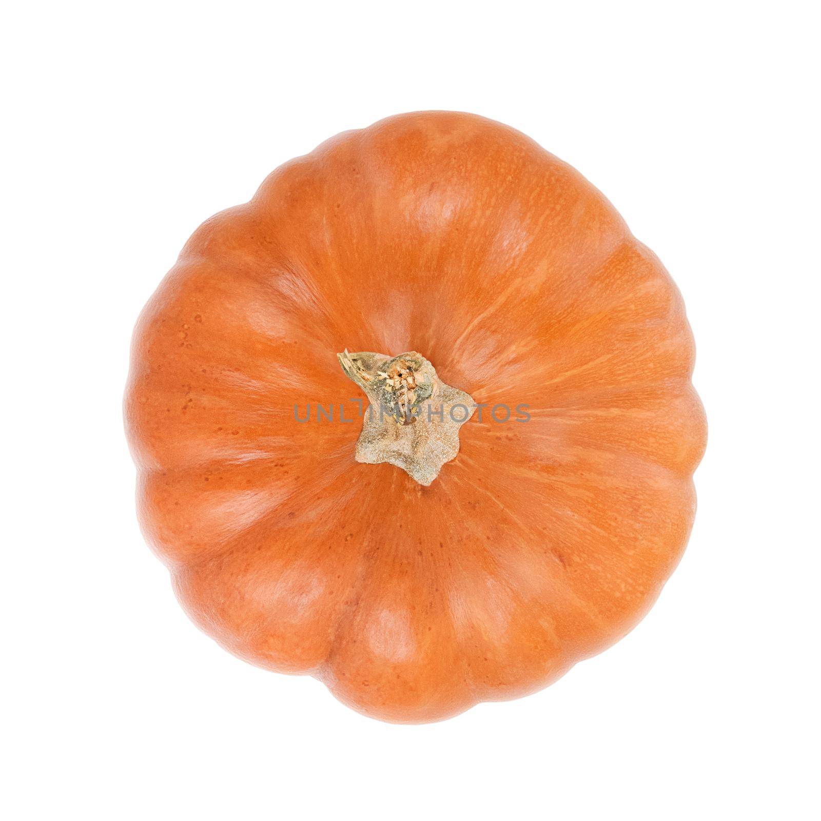 Orange pumpkin top view isolated on a white background.