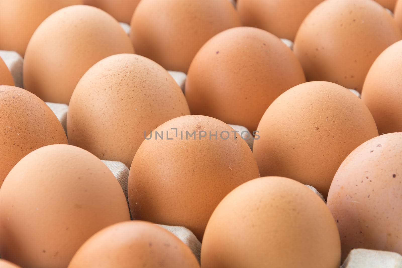 hen eggs by mihavincadani