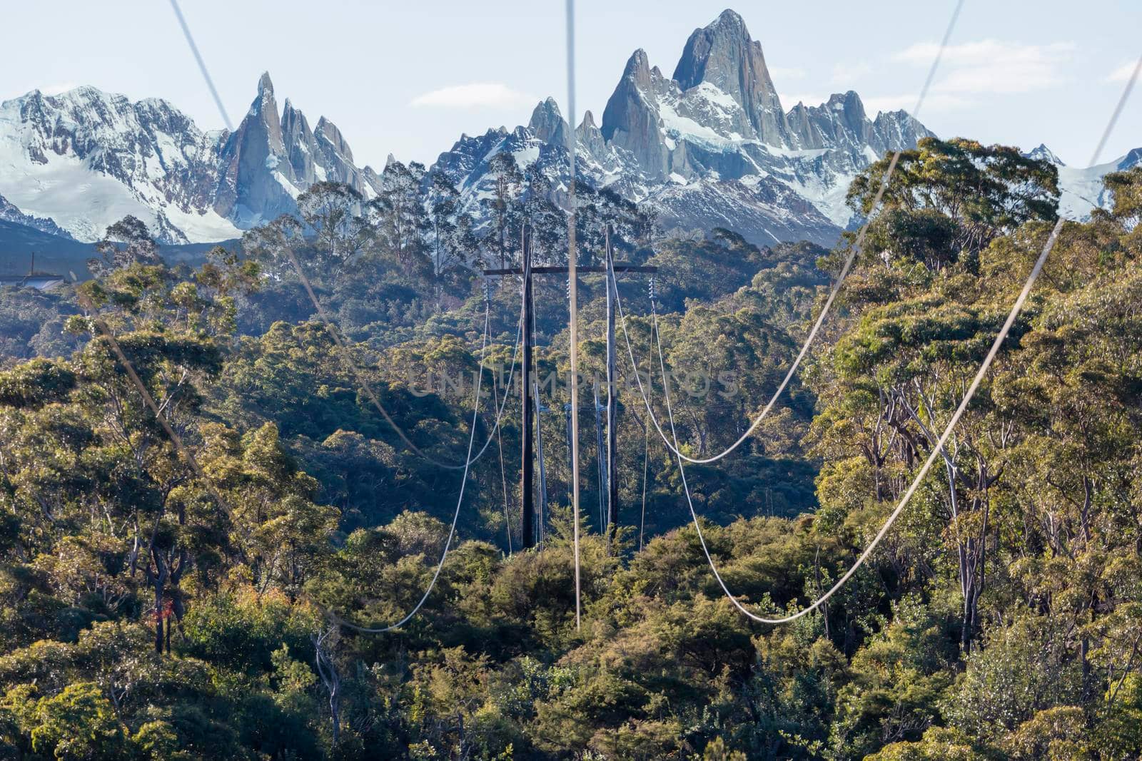 Photograph of transmission poles and lines running across a large forest canopy