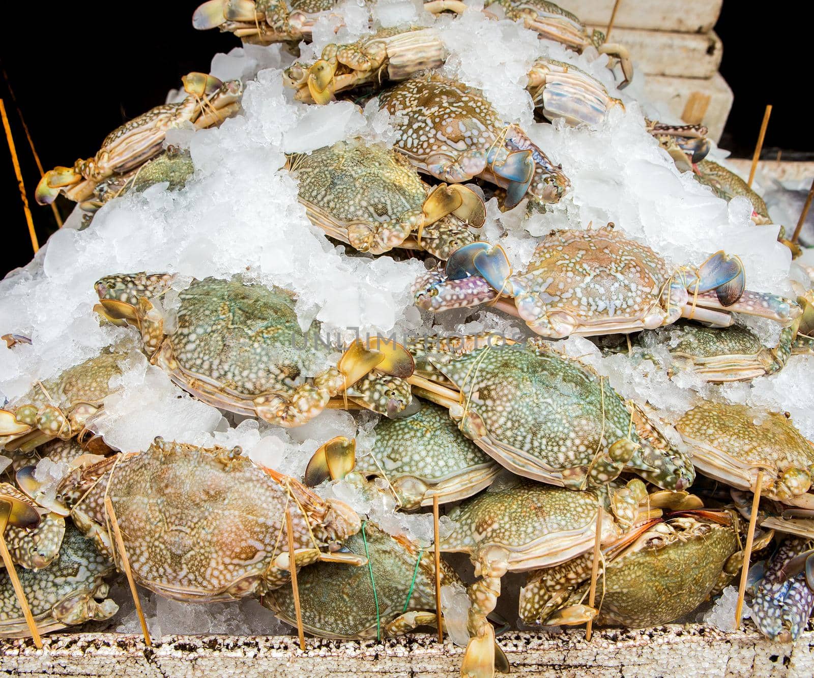 Crabs sold in the market by titipong