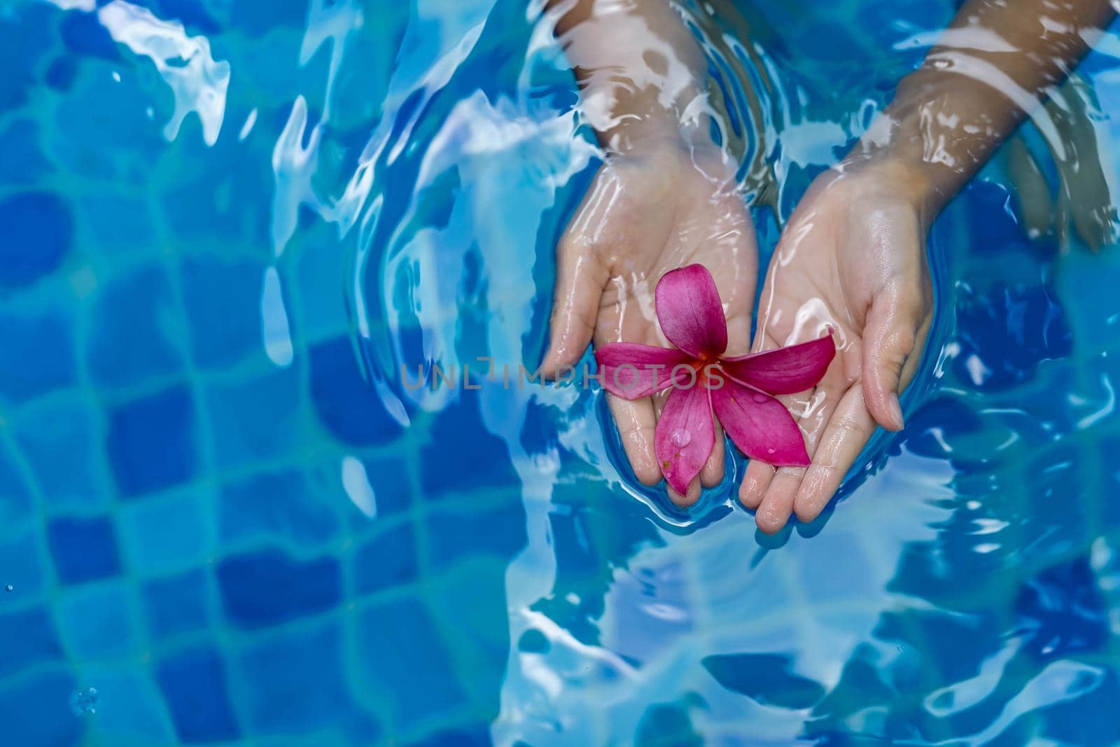 Childs hands holding a pink flower while floating on a pool water by billroque