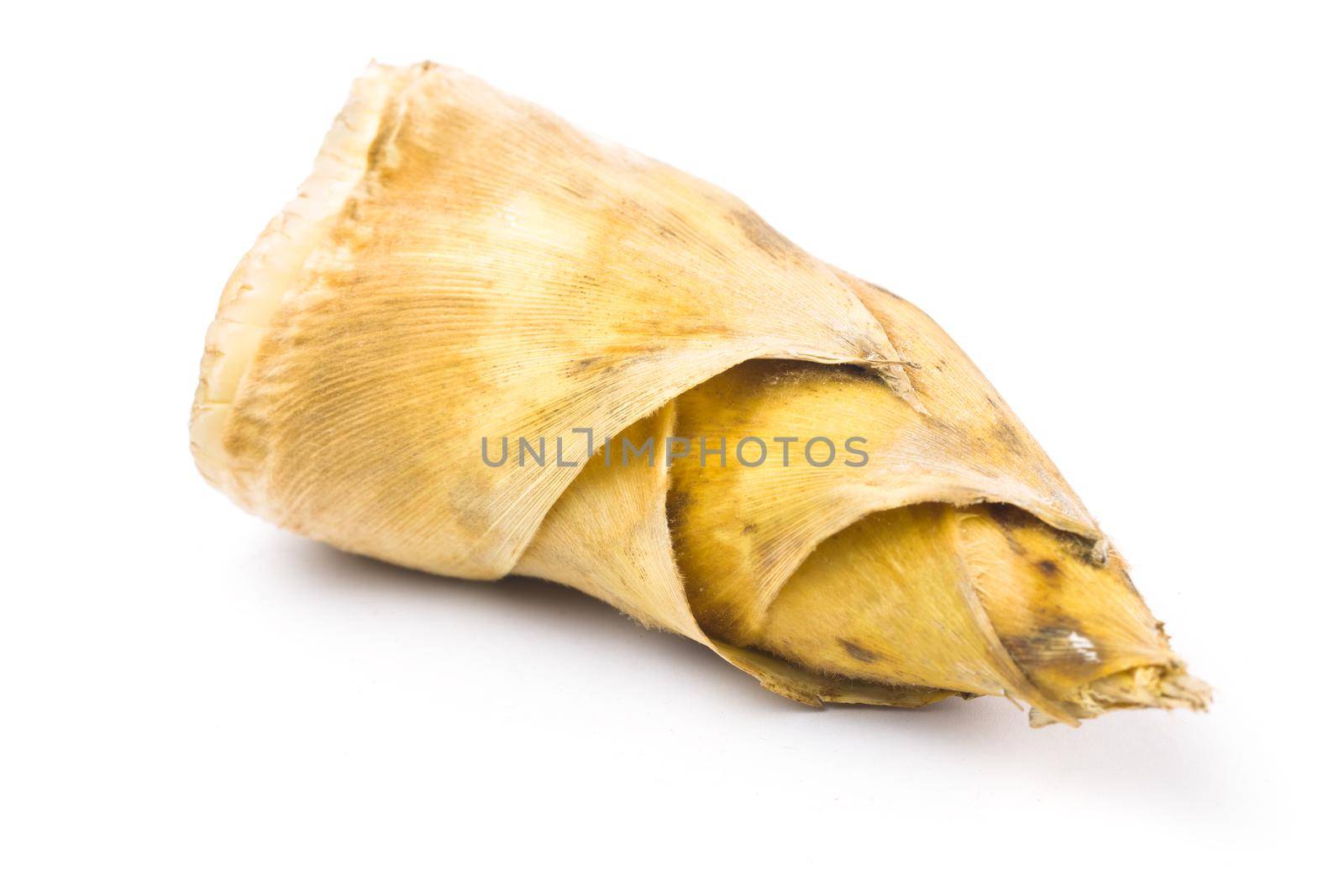 Bamboo shoots on white background