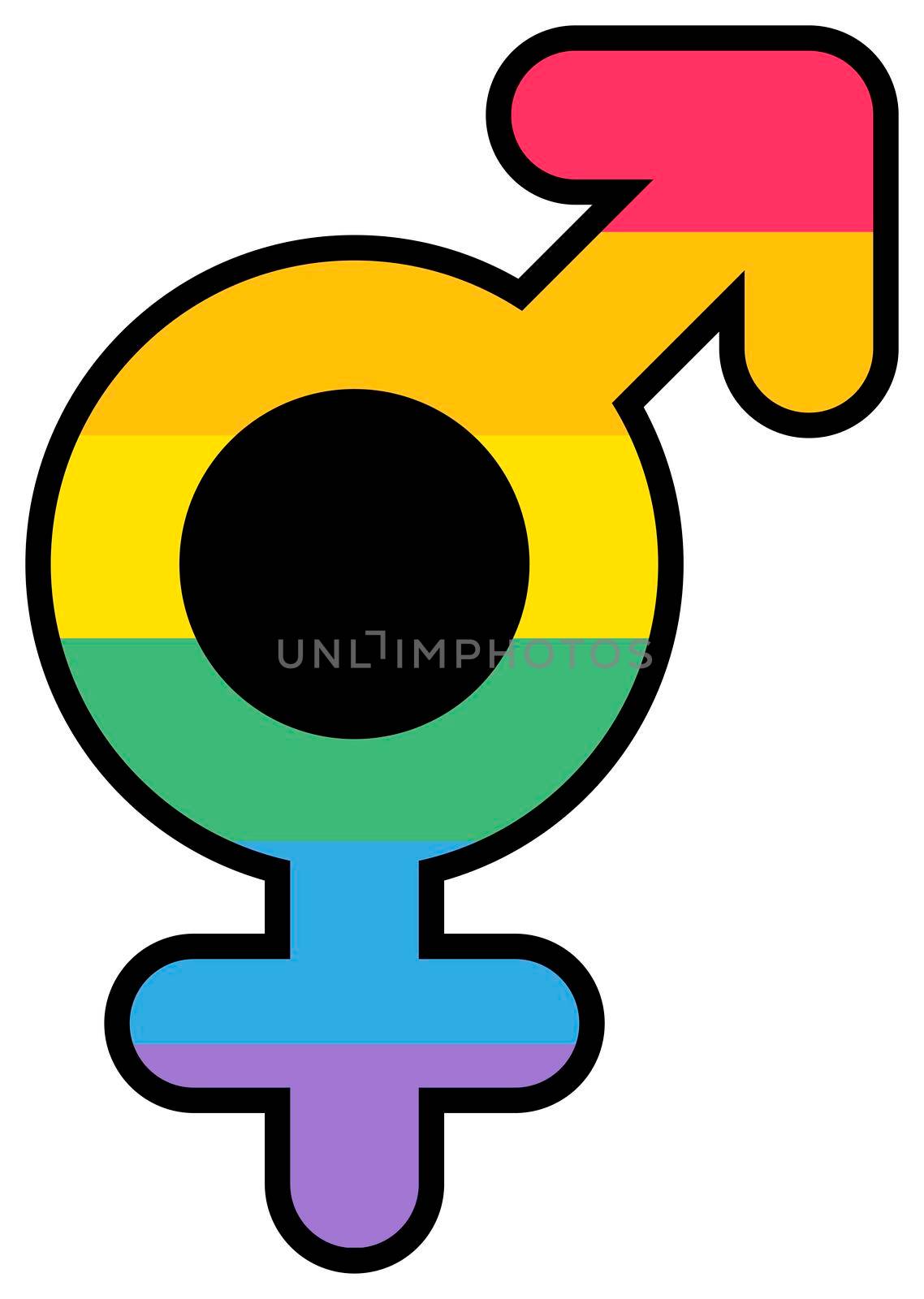 Bigender love lgbtqi male and female mark vector. Men and women bisexual orientation relation sign multicolor lgbt rainbow spectrum. Solidary international celebrate day flat cartoon illustration