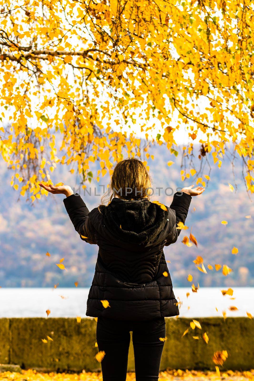 Back view of alone woman enjoying autumn, throwing fallen leaves on autumn alley. Autumn landscape, orange foliage in a park in Orsova, Romania, 2020