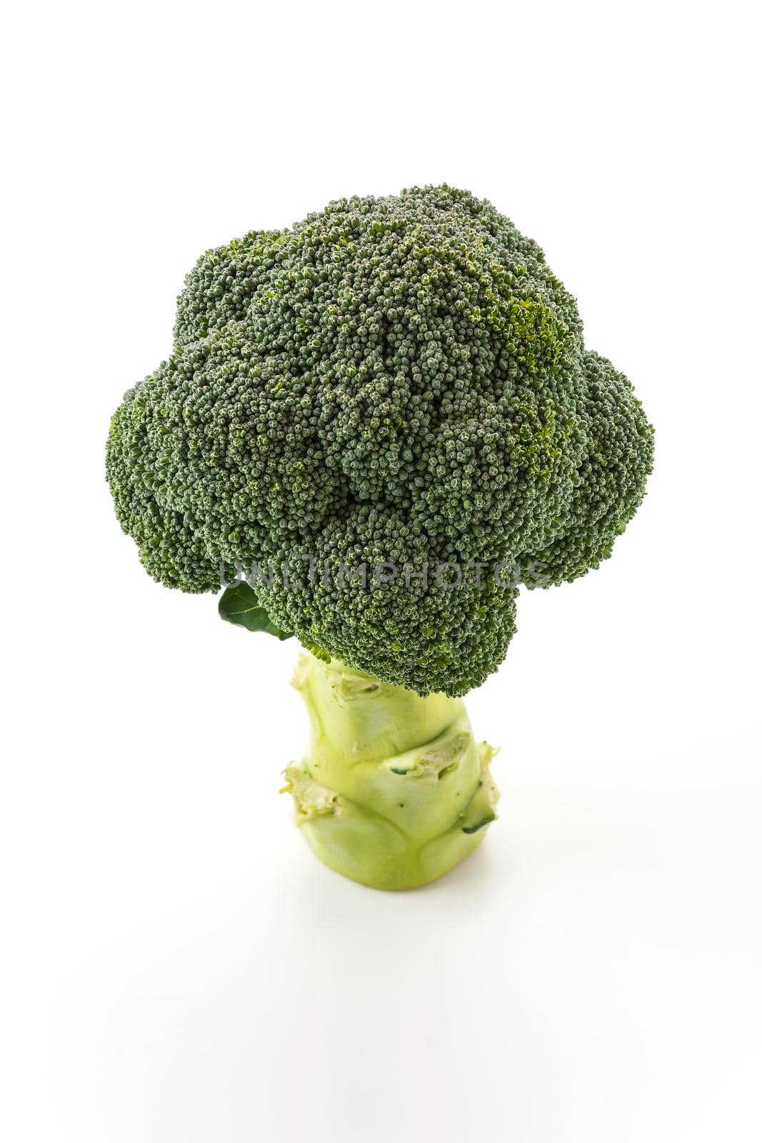 Fresh broccoli  on white background