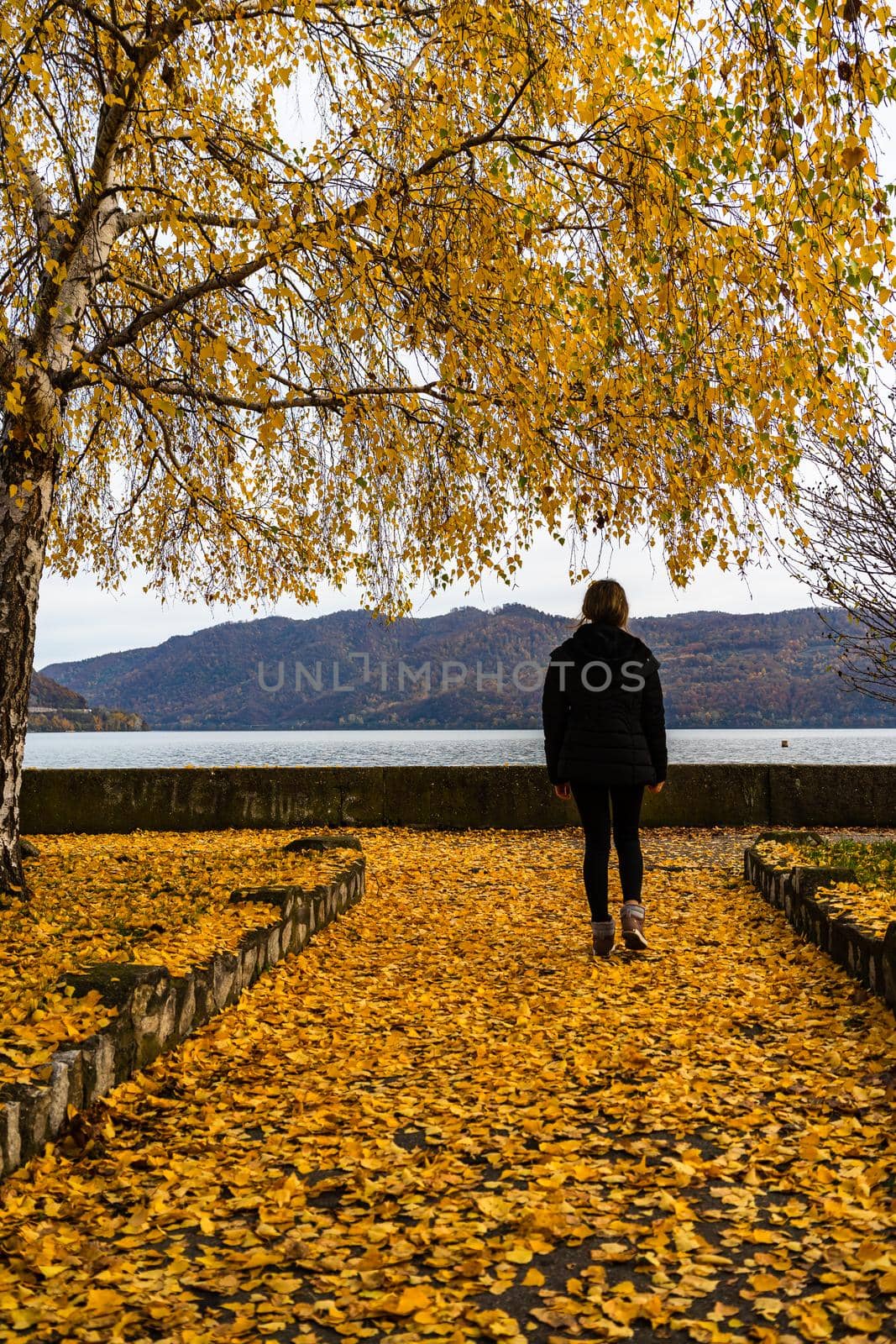 Autumn leaves fallen on alone woman walking on the autumn alley. Autumn landscape, orange foliage in a park in Orsova, Romania, 2020