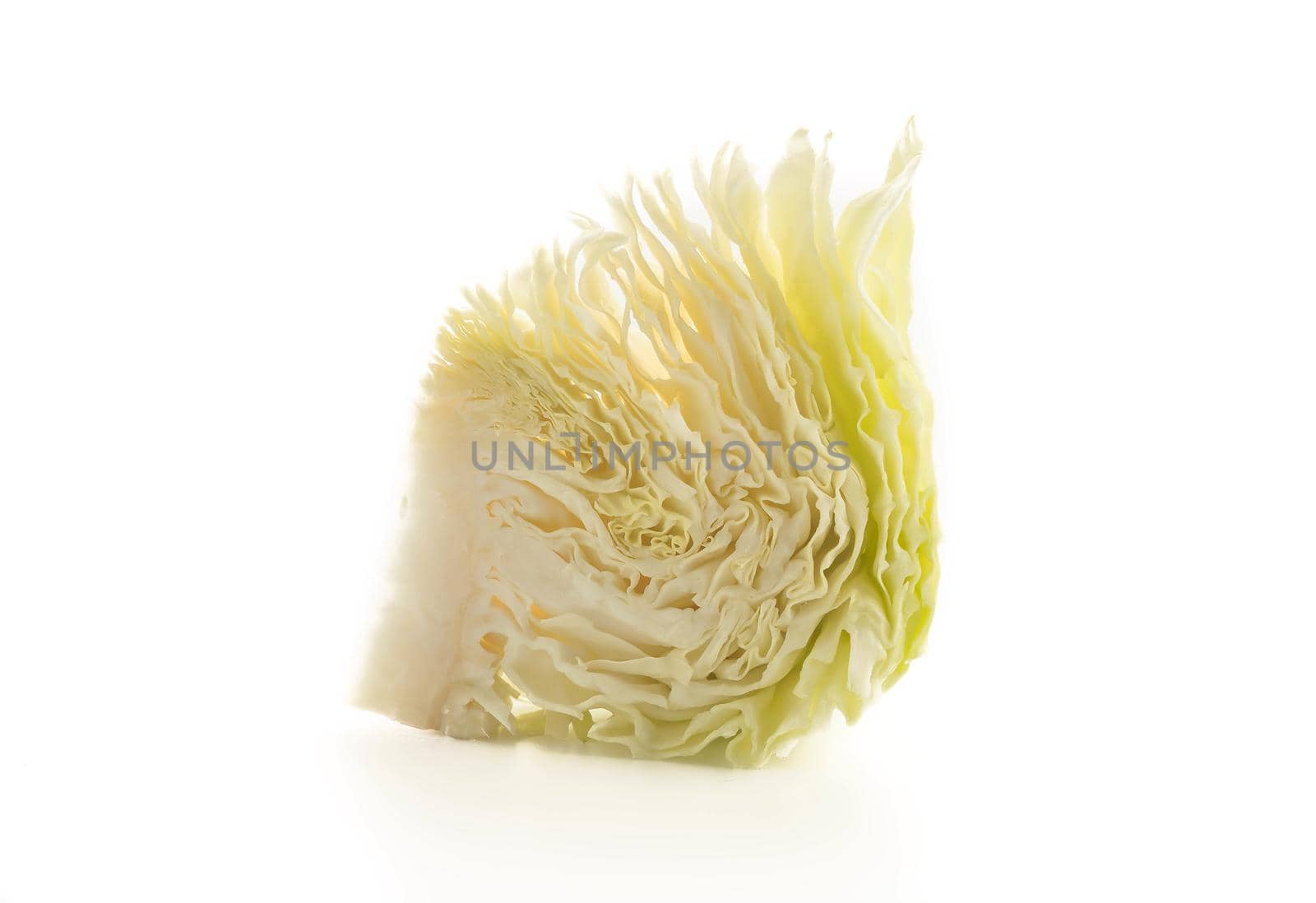 fresh cabbage on white background