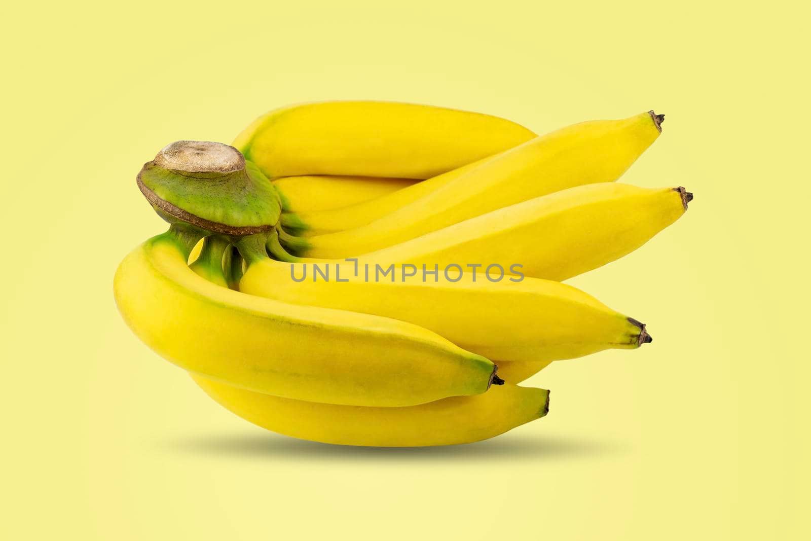 Group of ripe bananas peeled yellow on the same branch isolated on yellow pastel color background.