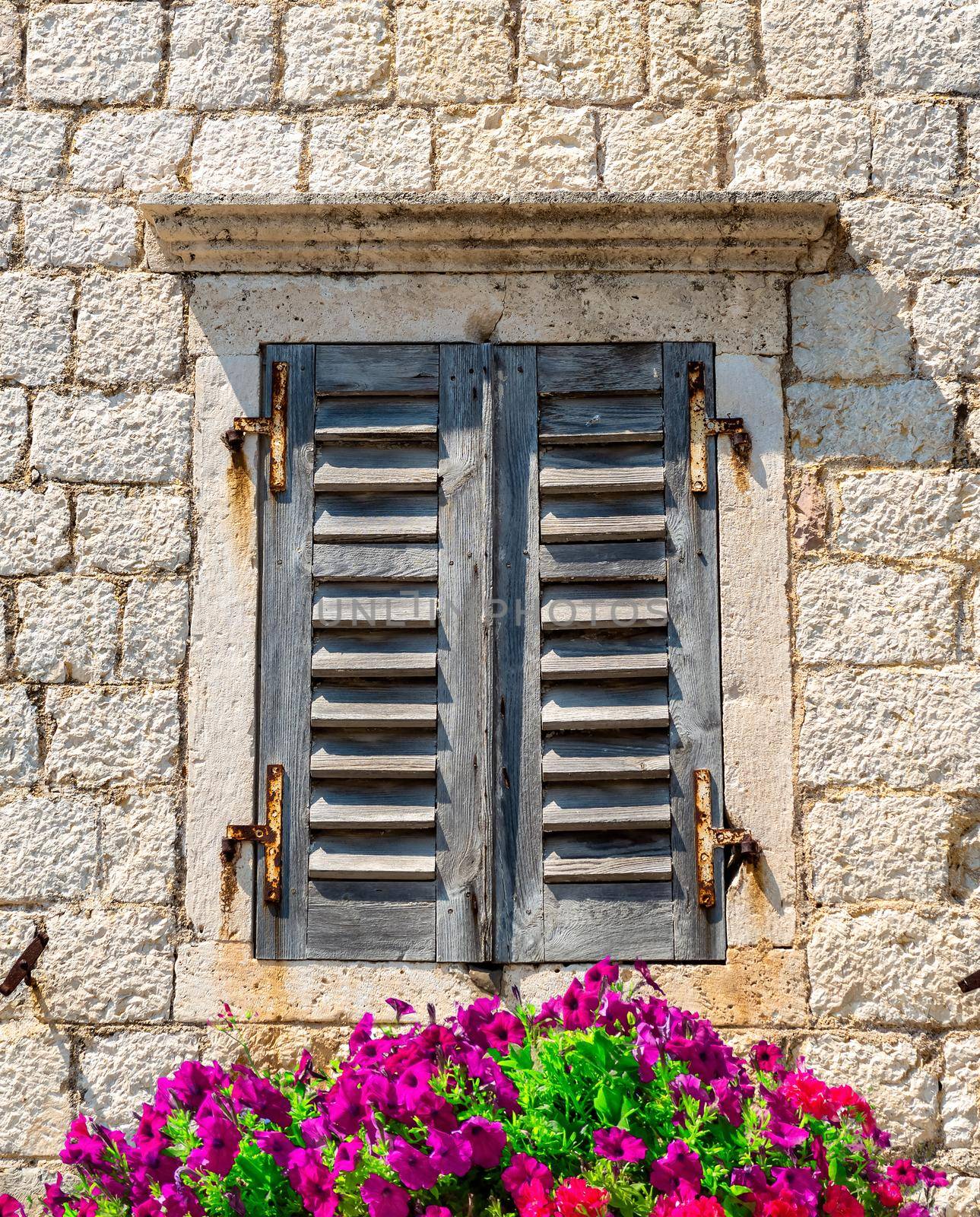 Window and flowers by Givaga