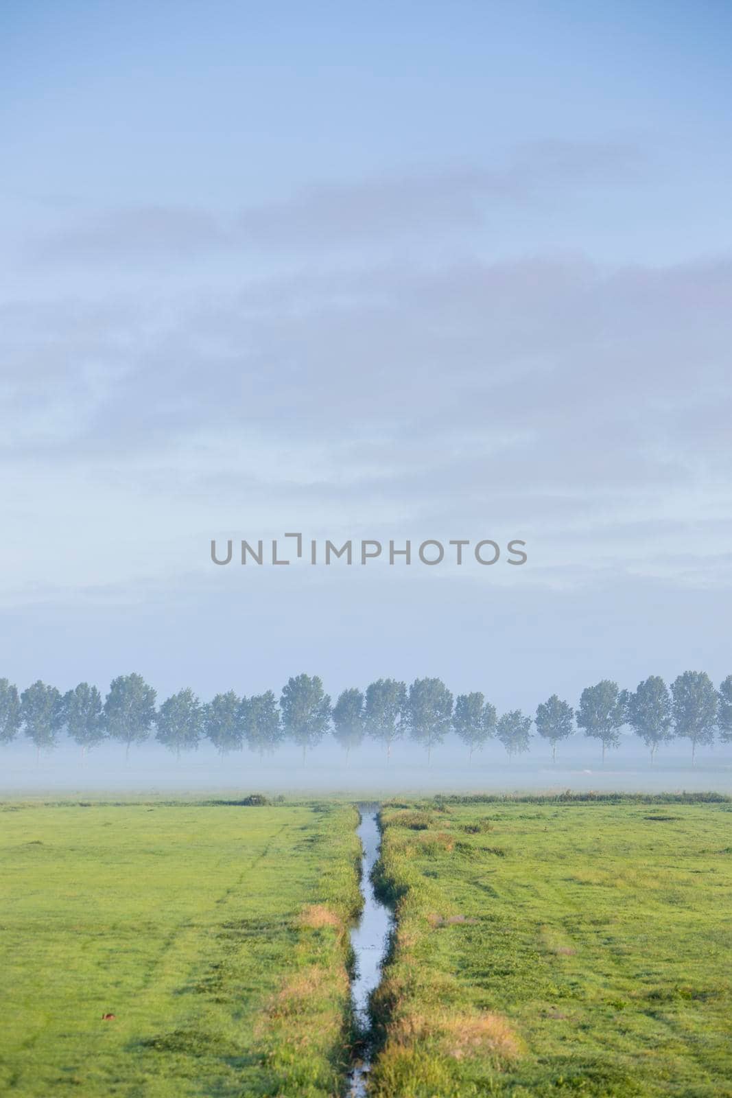 water of ditch reflects blue sky on early summer morning in the green meadow area near amsterdam in the netherlands by ahavelaar