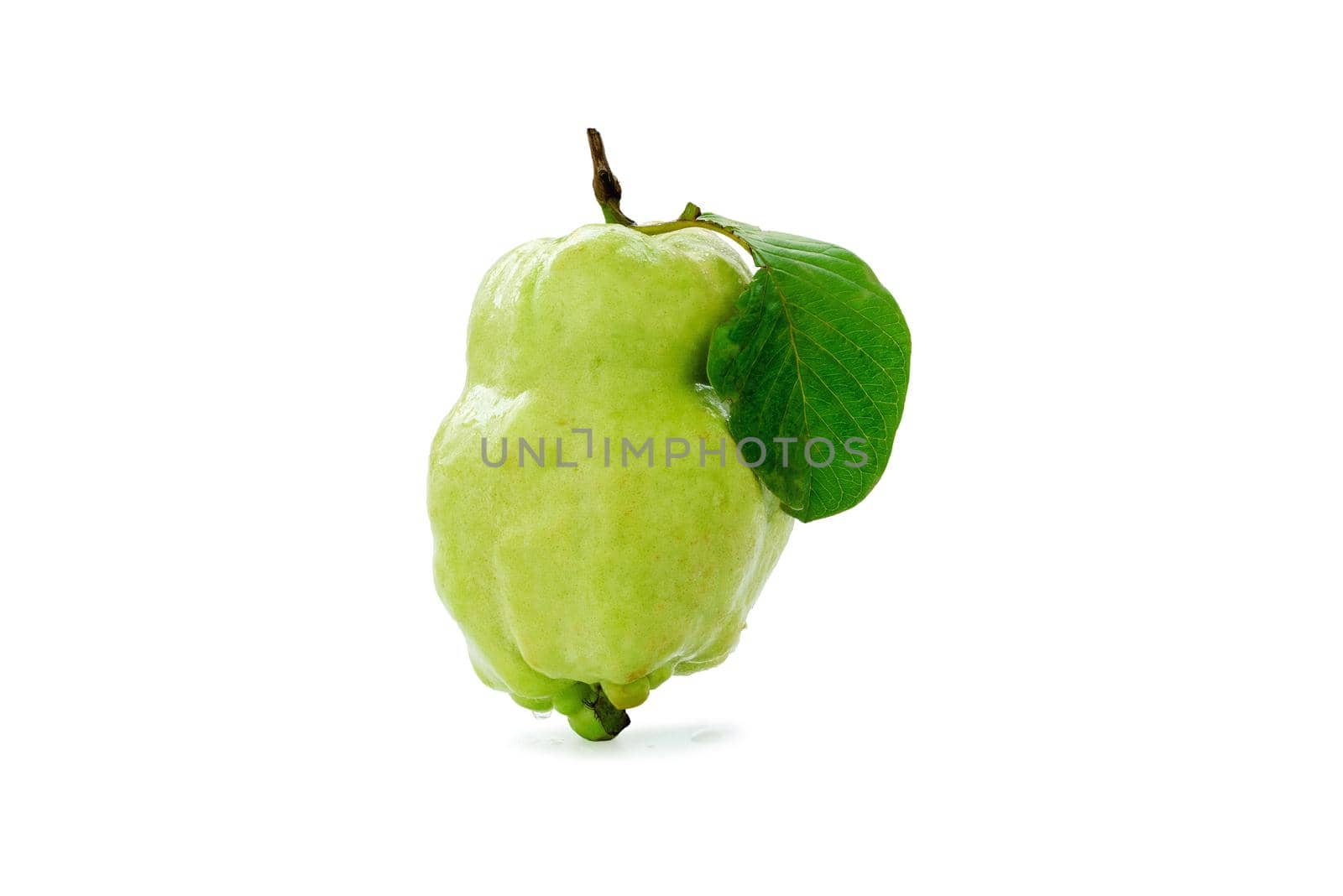 Single fresh guava with one leaf isolated on white background.