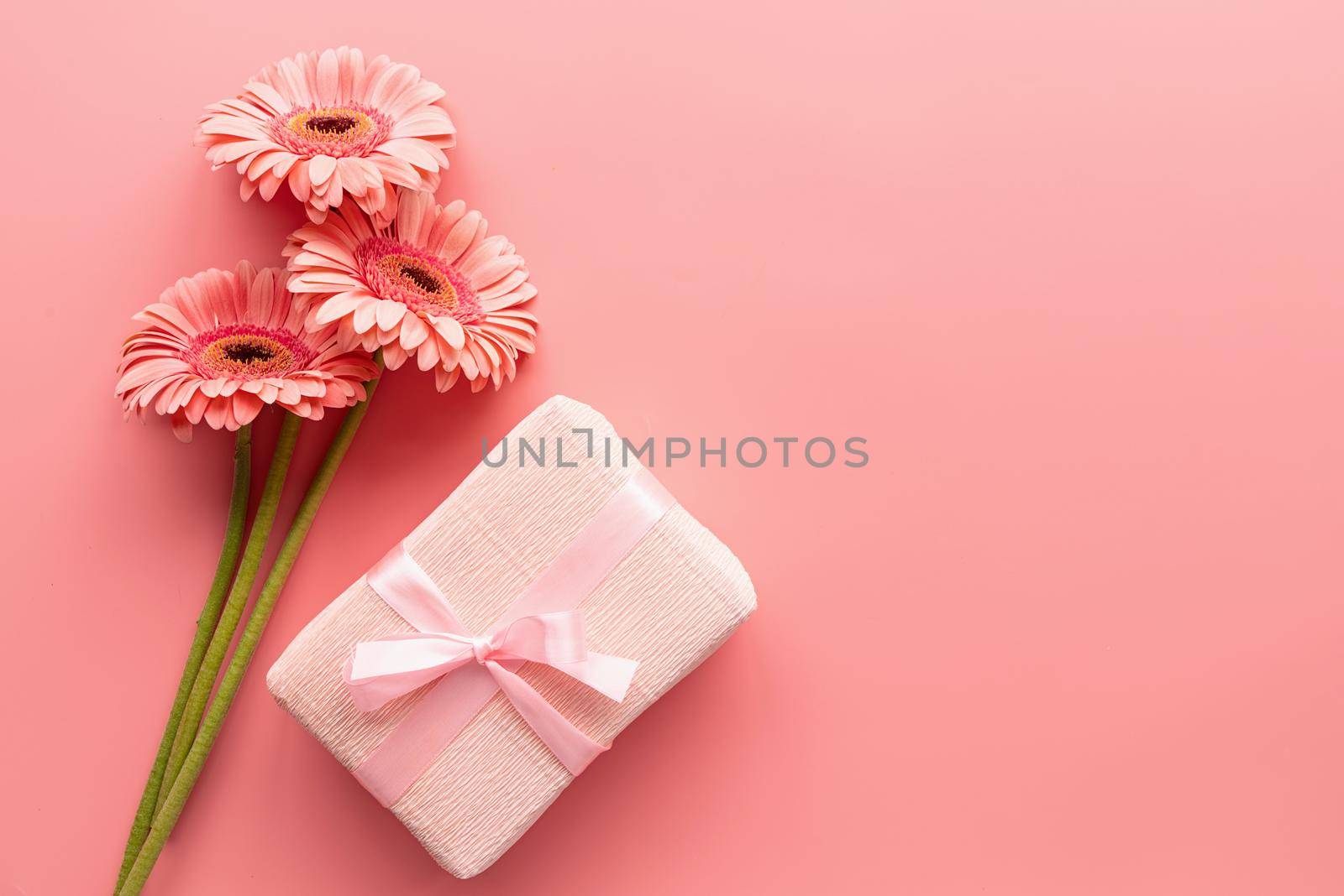 Pink gerbera daisies bouquet and pink gift. Minimal design flat lay. Pastel colors