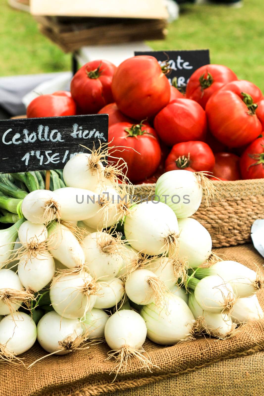 Vegetables for sale at the local ecological market in the Raval neighborhood in Elche