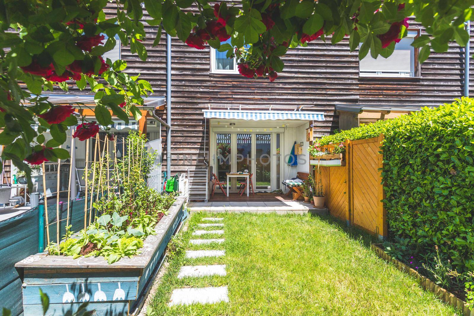 Cozy little green garden with raised bed and veranda, summer time